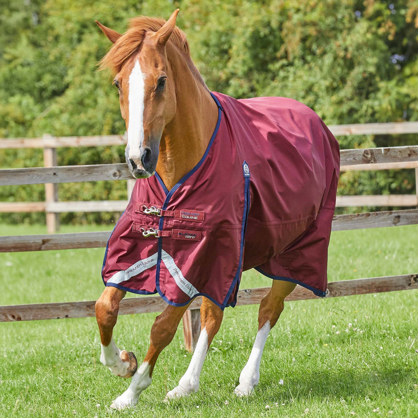 Couverture Impermeable Cheval Buster Zero Original Premier Equine – Sans Garnissage