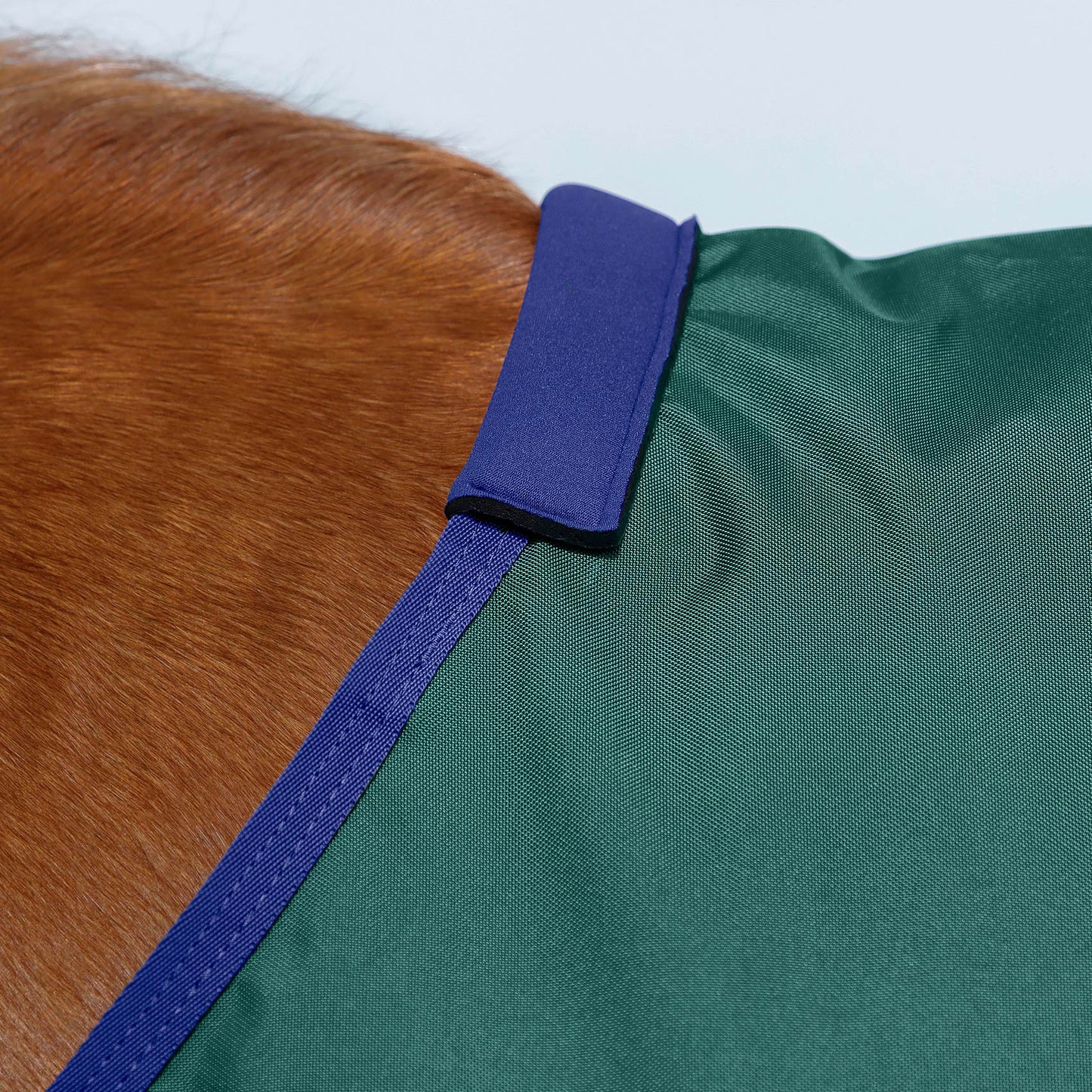Couverture Impermeable Cheval Buster Zero Original Premier Equine – Sans Garnissage