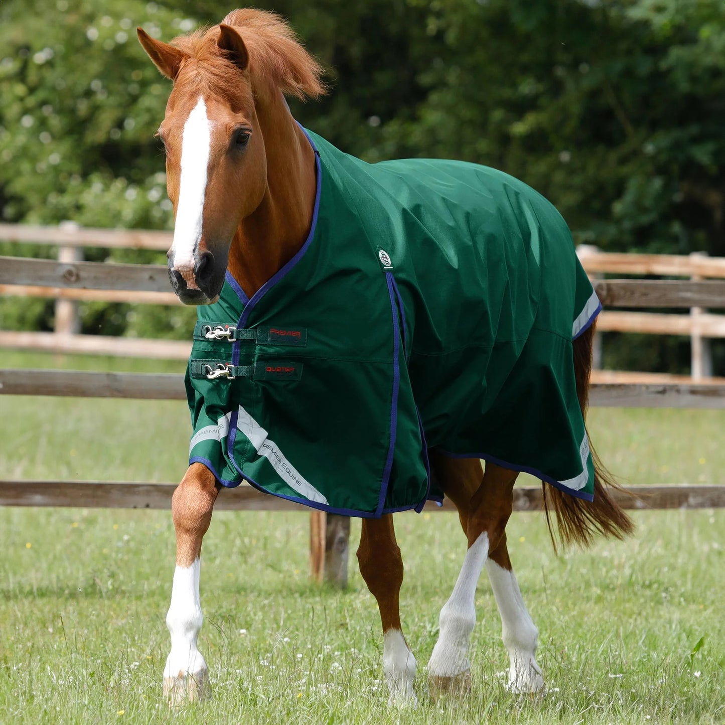 Couverture Impermeable Cheval Buster Zero Original Premier Equine – Sans Garnissage