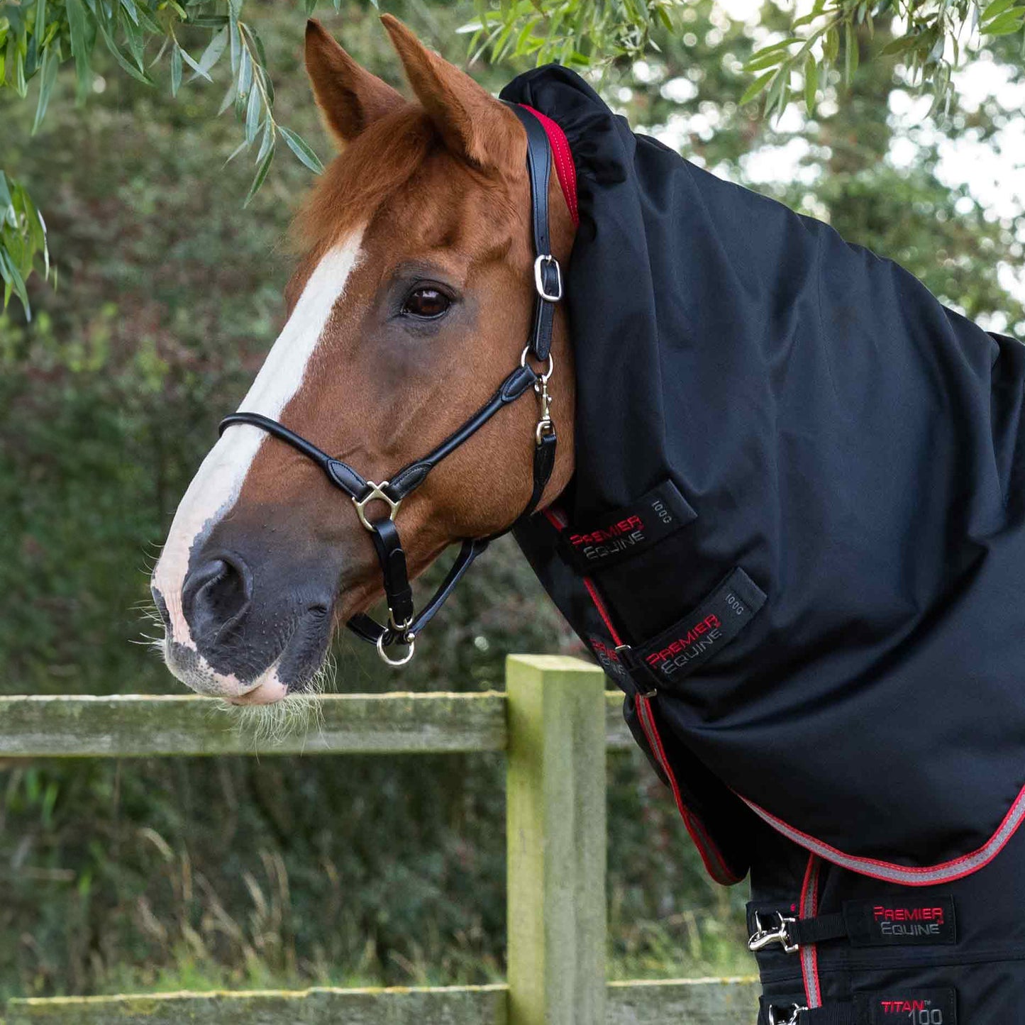 Couverture Titan 100g Premier Equine avec Couvre-Cou – Protection Imperméable et Respirante pour Cheval