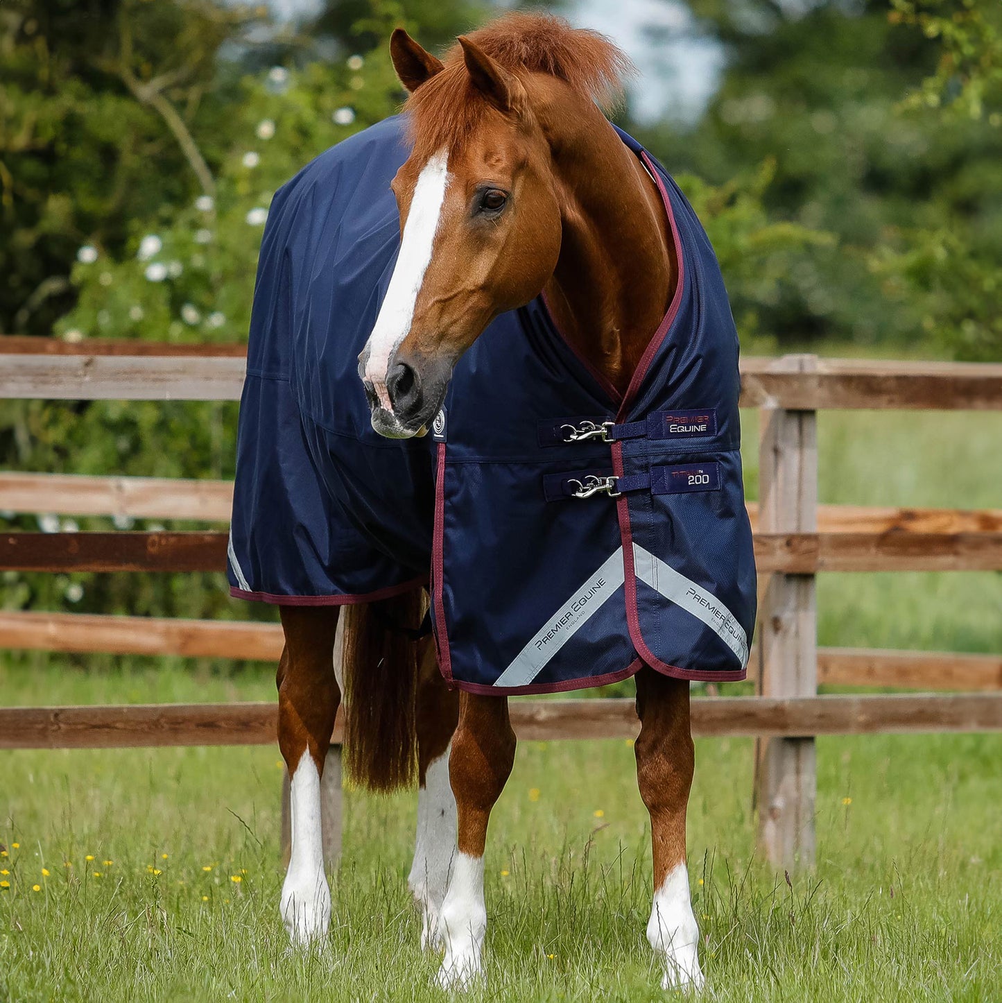Couverture Titan 200g Original Premier Equine – Durable, Imperméable et Respirante pour Temps Froid