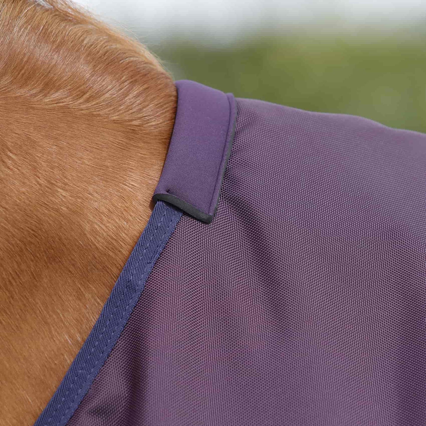 Couverture Titan 200g Original Premier Equine – Durable, Imperméable et Respirante pour Temps Froid