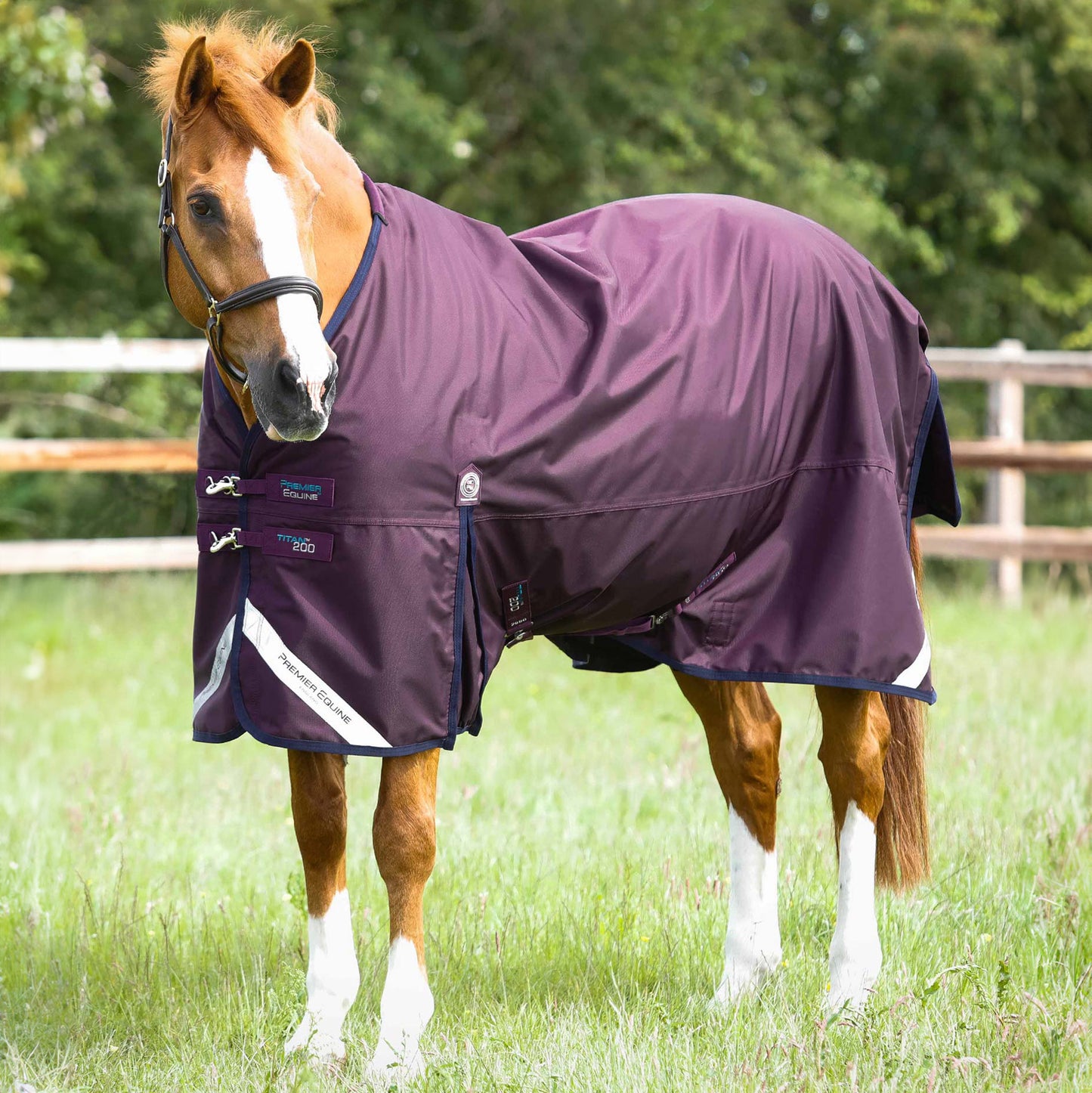 Couverture Titan 200g Original Premier Equine – Durable, Imperméable et Respirante pour Temps Froid