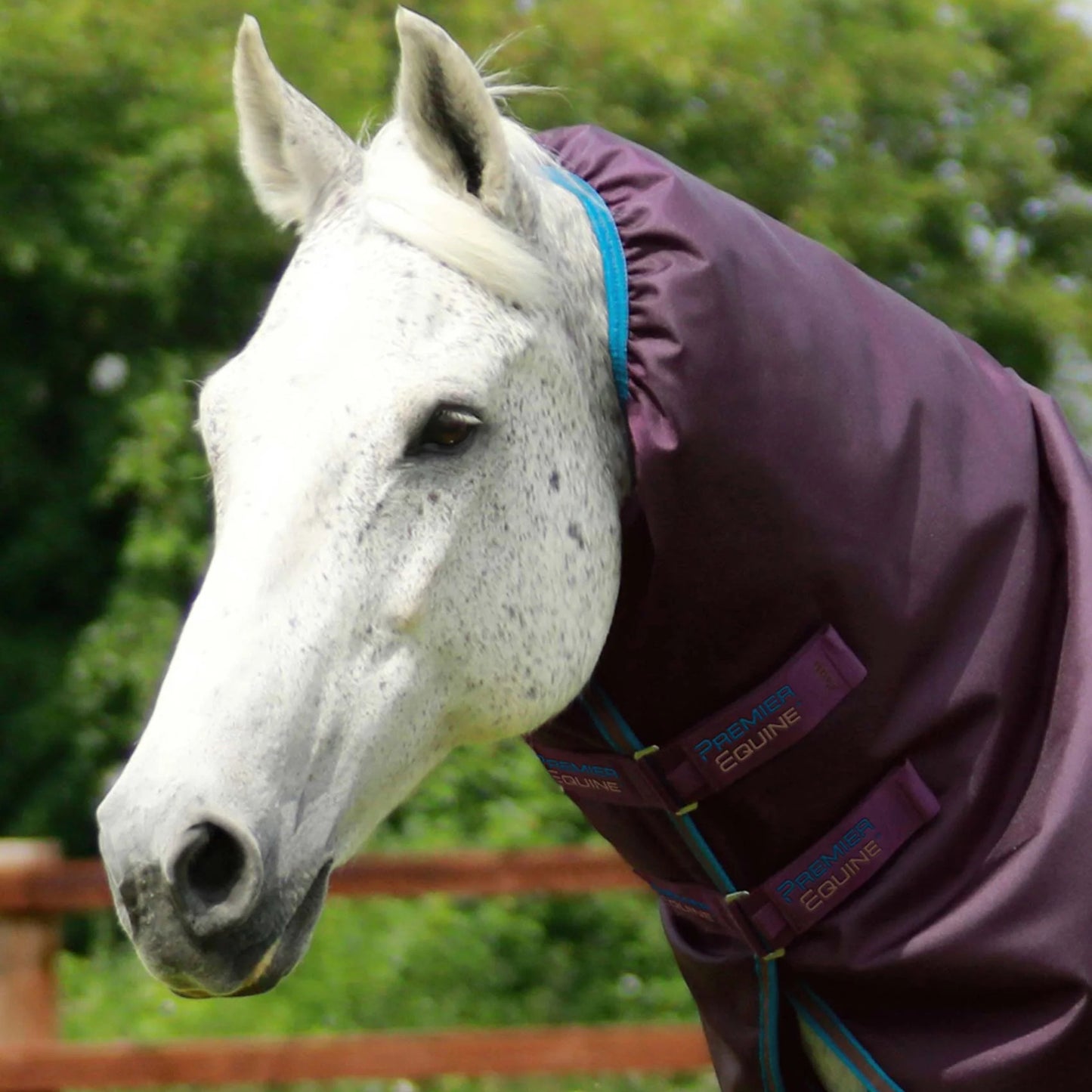 Couverture Titan 200g Premier Equine avec Couvre Cou - Imperméable & Respirante