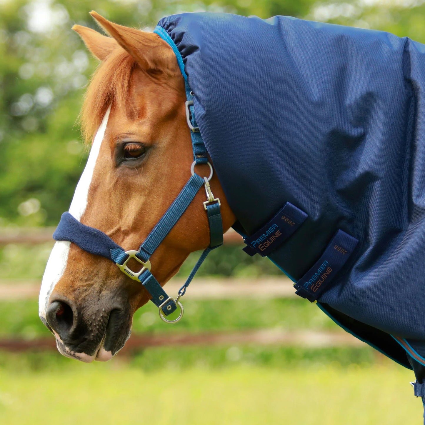 Couverture Titan 200g Premier Equine avec Couvre Cou - Imperméable & Respirante