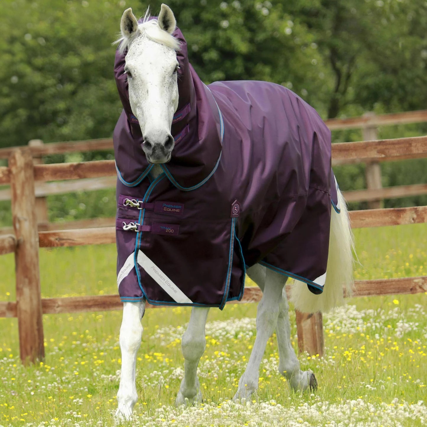 Couverture Titan 200g Premier Equine avec Couvre Cou - Imperméable & Respirante