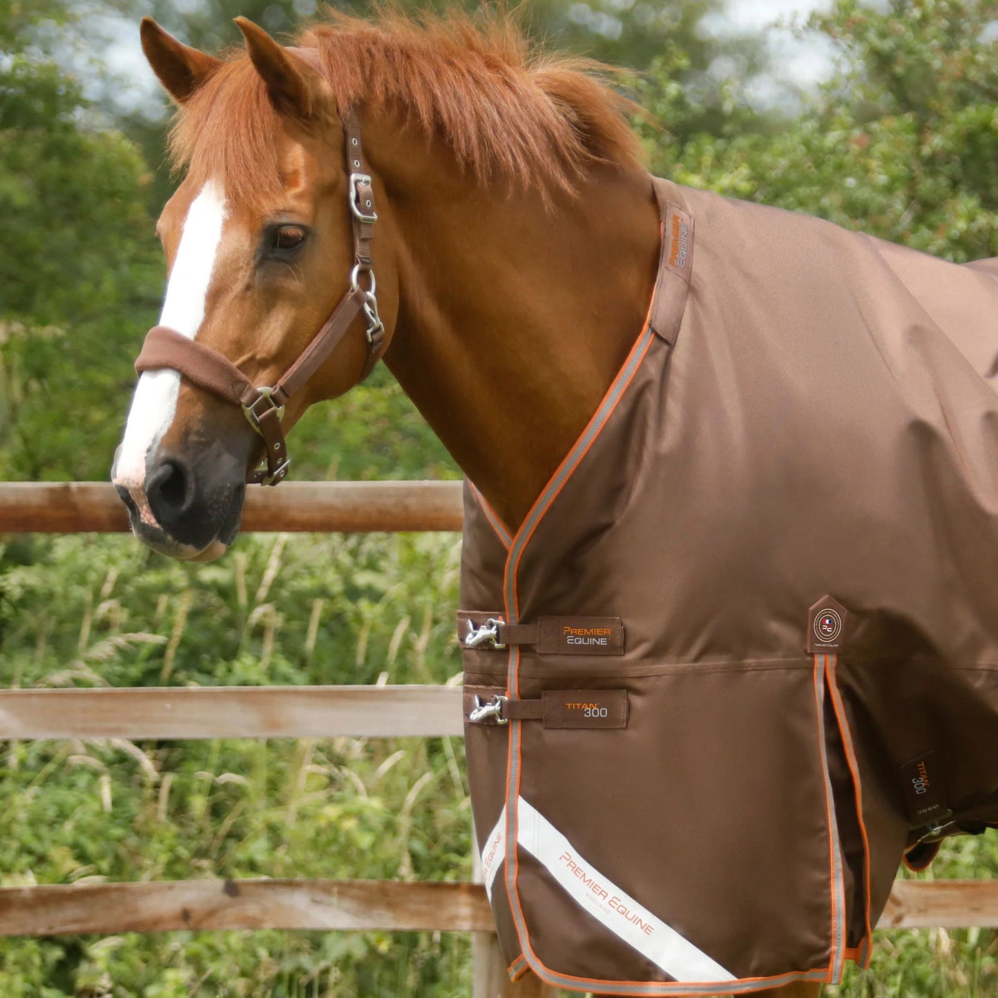 Couverture Titan 300g Premier Equine avec Couvre Cou - Chaud, Imperméable & Résistant