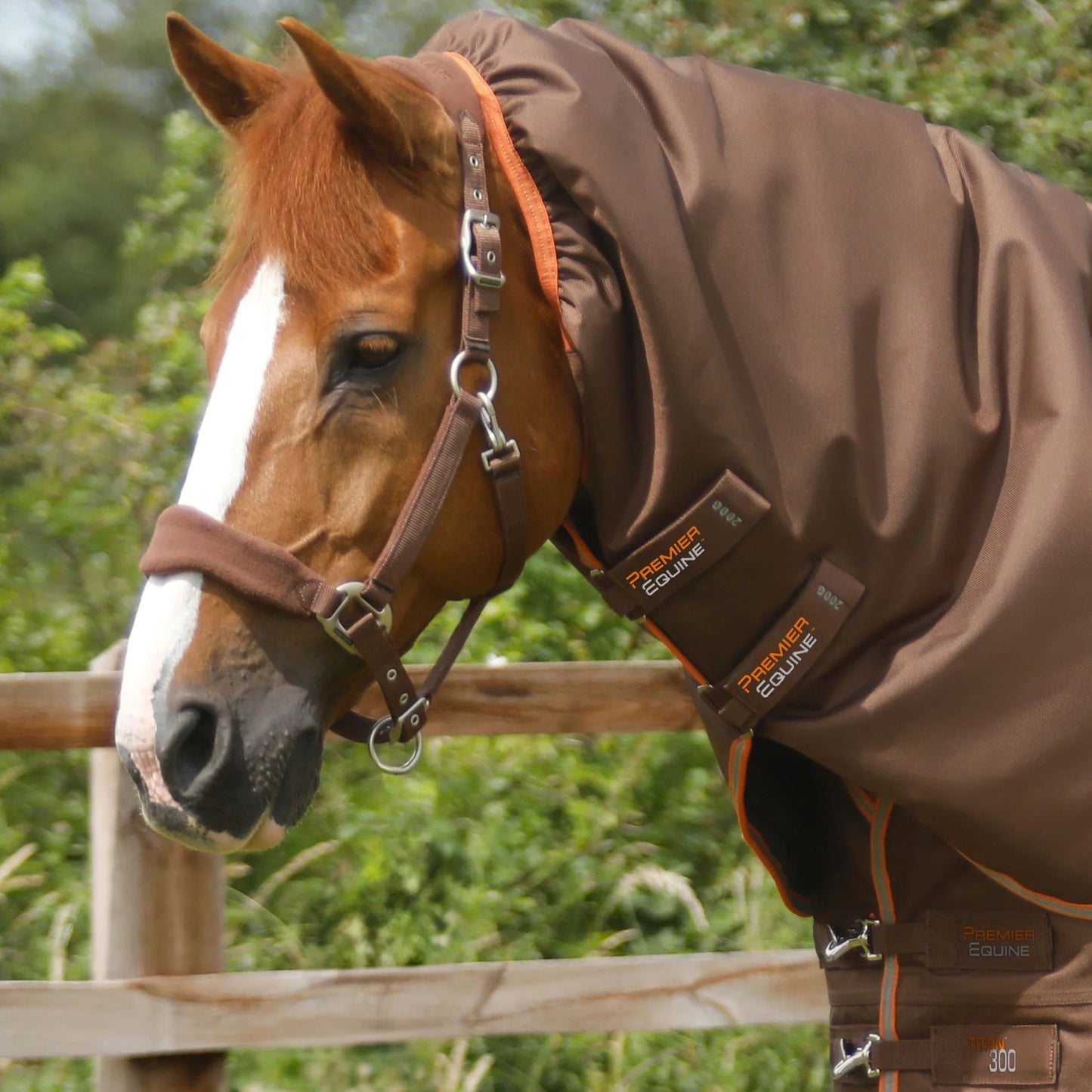 Couverture Titan 300g Premier Equine avec Couvre Cou - Chaud, Imperméable & Résistant