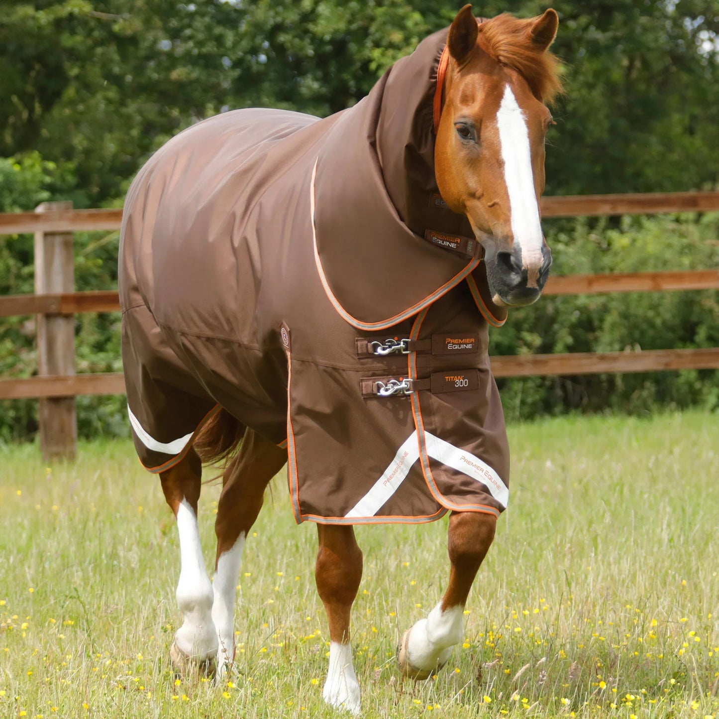 Couverture Titan 300g Premier Equine avec Couvre Cou - Chaud, Imperméable & Résistant