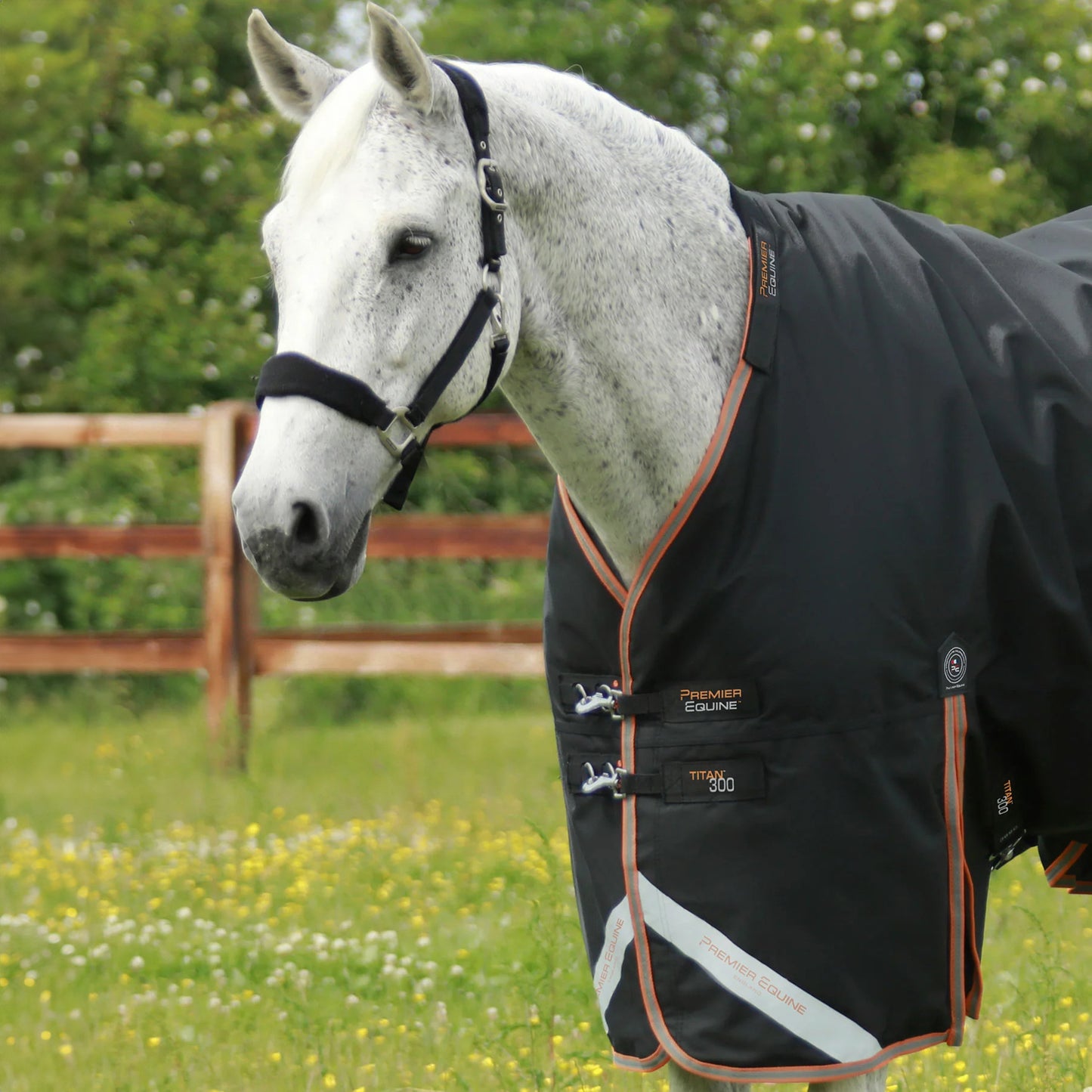 Couverture Titan 300g Premier Equine avec Couvre Cou - Chaud, Imperméable & Résistant