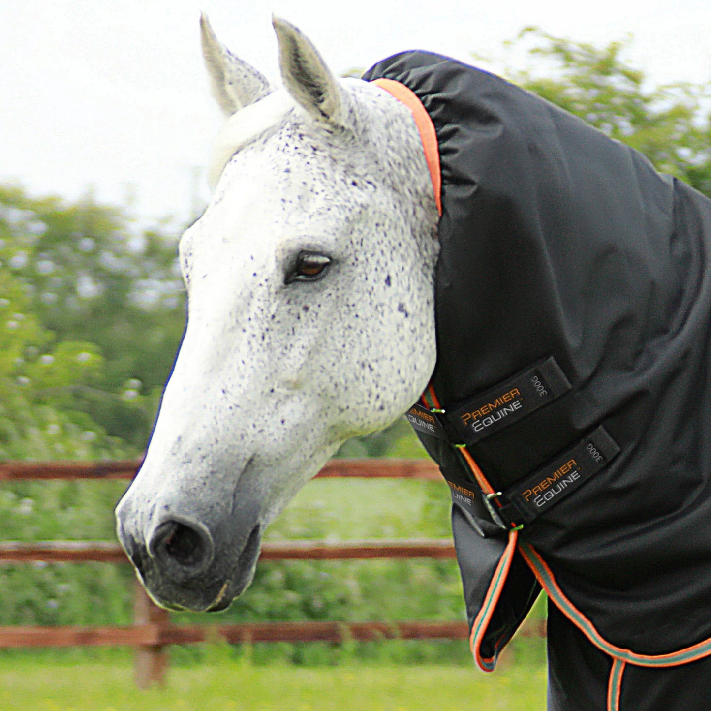 Couverture Titan 300g Premier Equine avec Couvre Cou - Chaud, Imperméable & Résistant