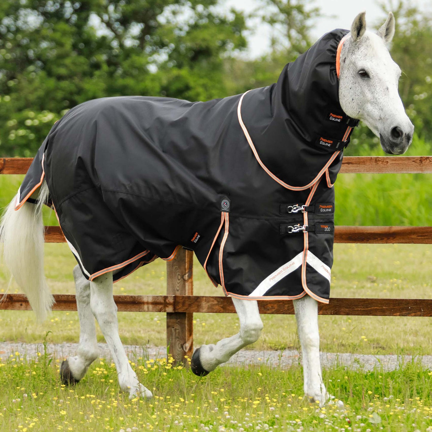 Couverture Titan 300g Premier Equine avec Couvre Cou - Chaud, Imperméable & Résistant