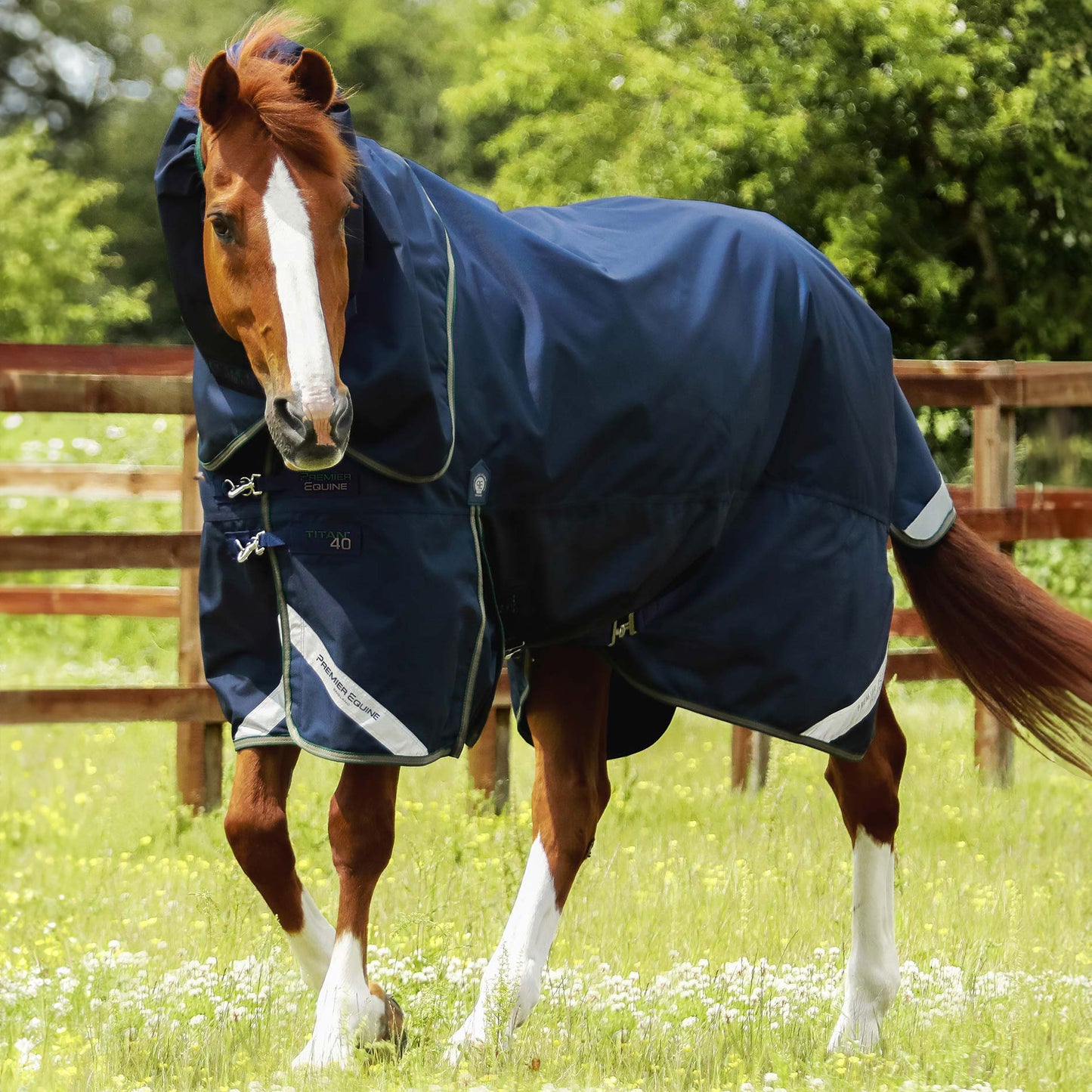 Couverture Titan 40g avec Couvre-Cou Premier Equine – Protection Légère et Durable pour Chevaux
