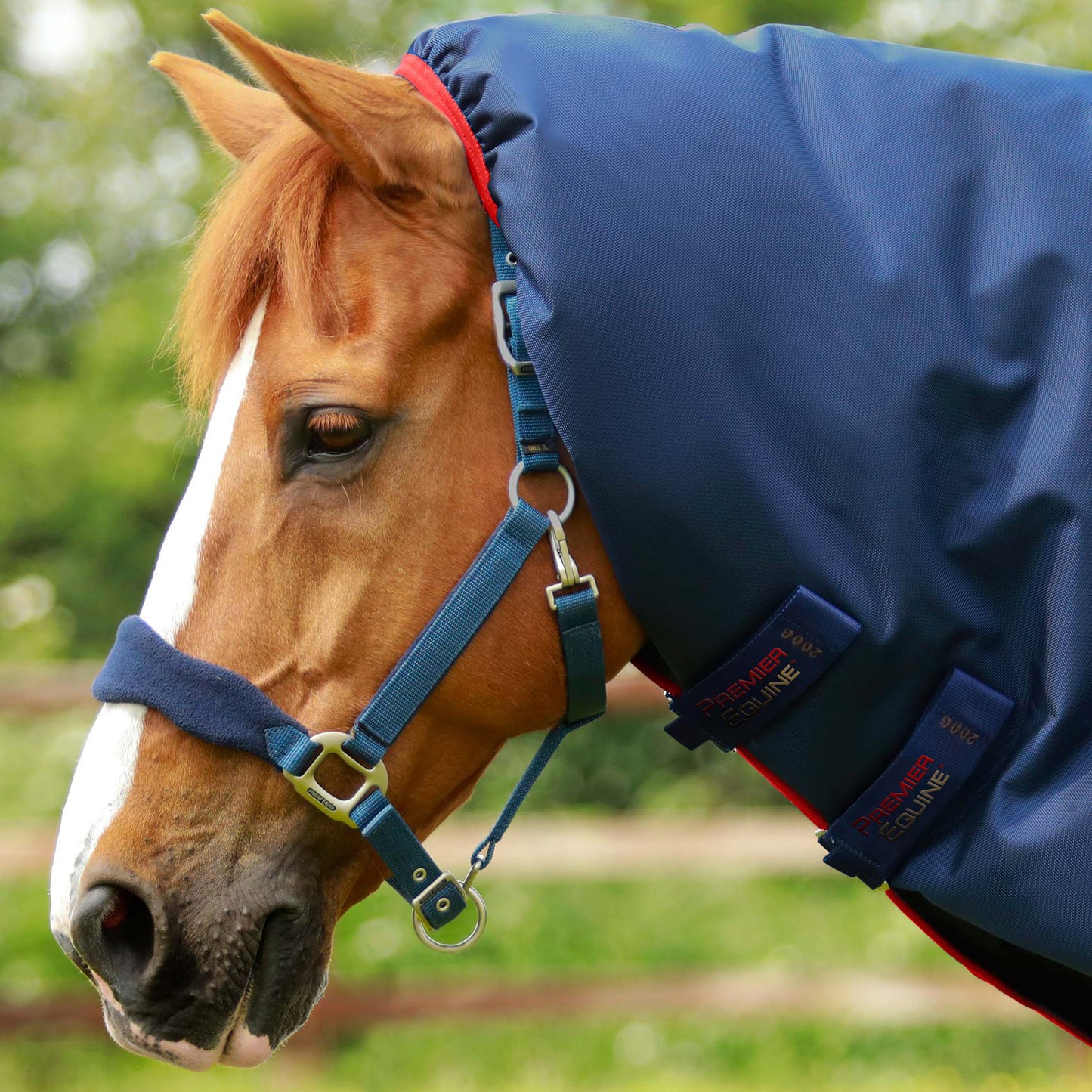 Couverture Titan 450g Premier Equine avec Couvre Cou - Protection Hivernale Ultime