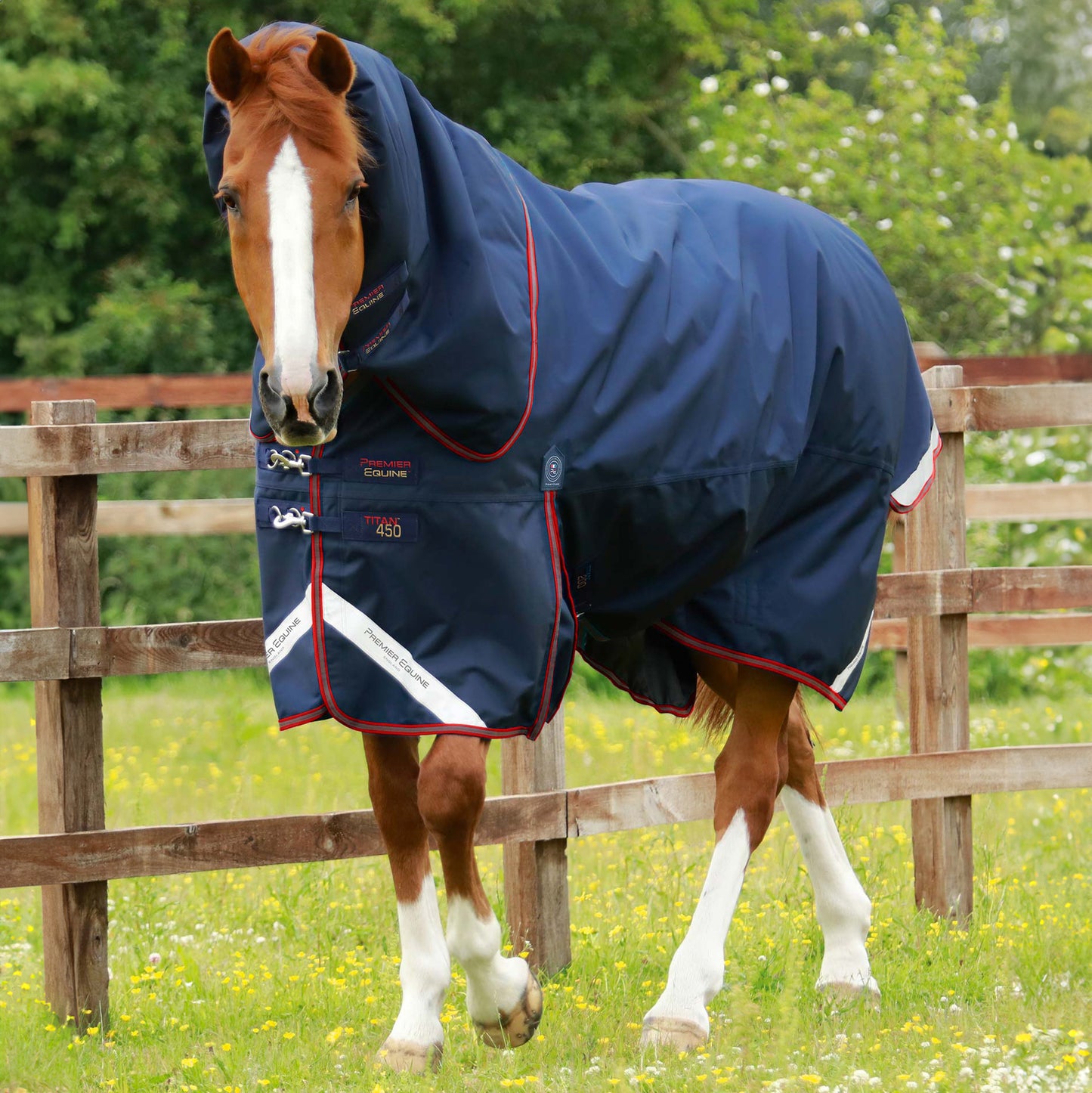 Couverture Titan 450g Premier Equine avec Couvre Cou - Protection Hivernale Ultime