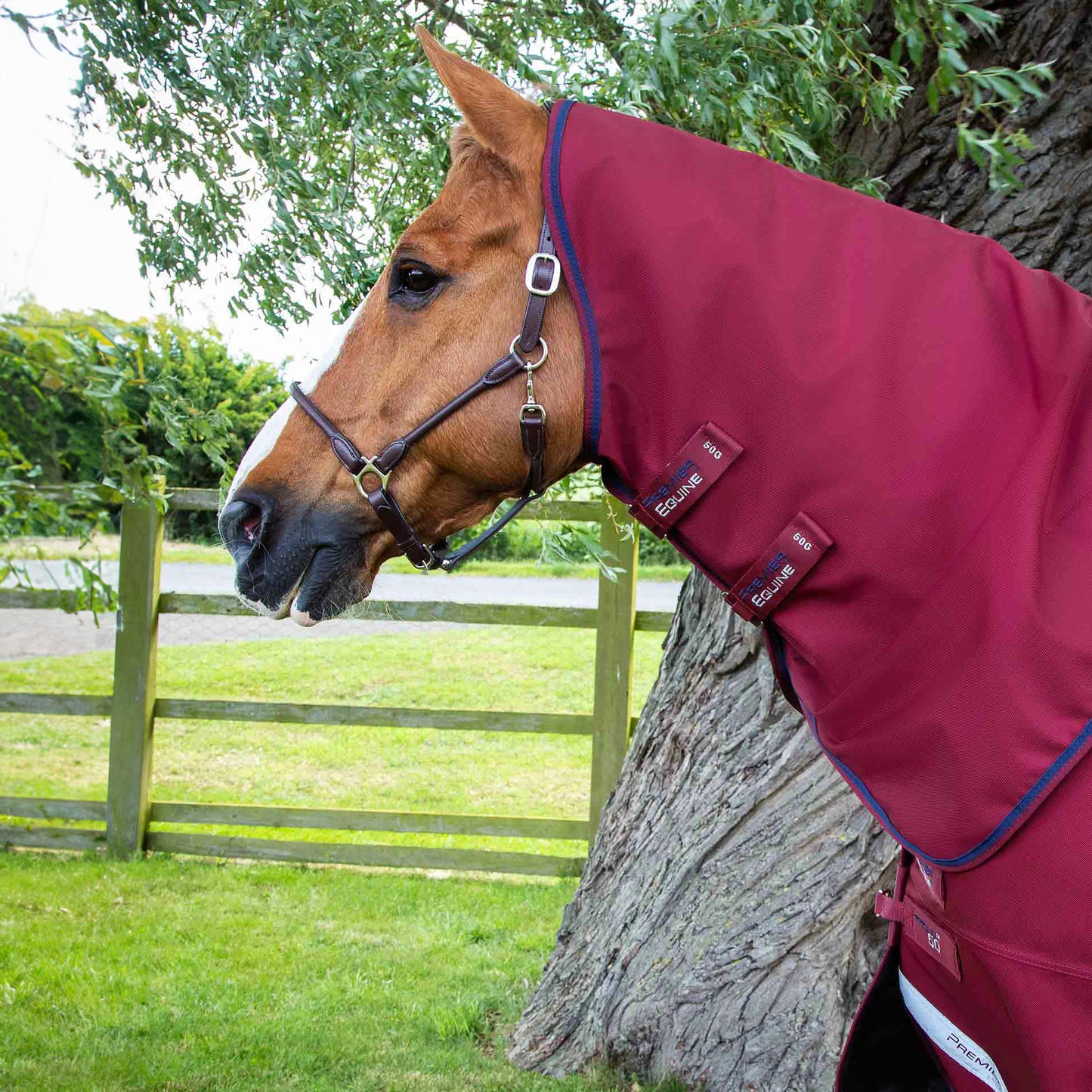 Couverture Titan 50g avec Couvre-Cou Premier Equine – Protection Légère et Résistante pour Chevaux