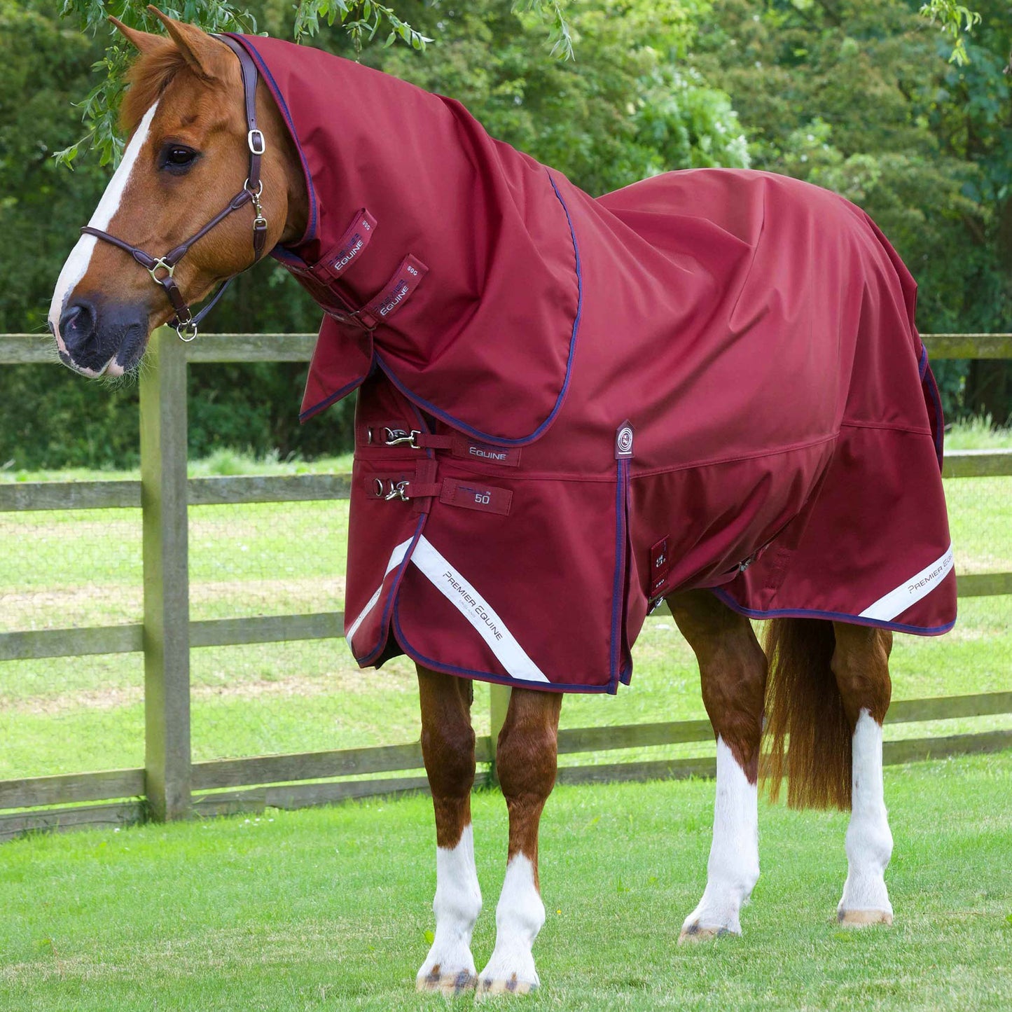 Couverture Titan 50g avec Couvre-Cou Premier Equine – Protection Légère et Résistante pour Chevaux