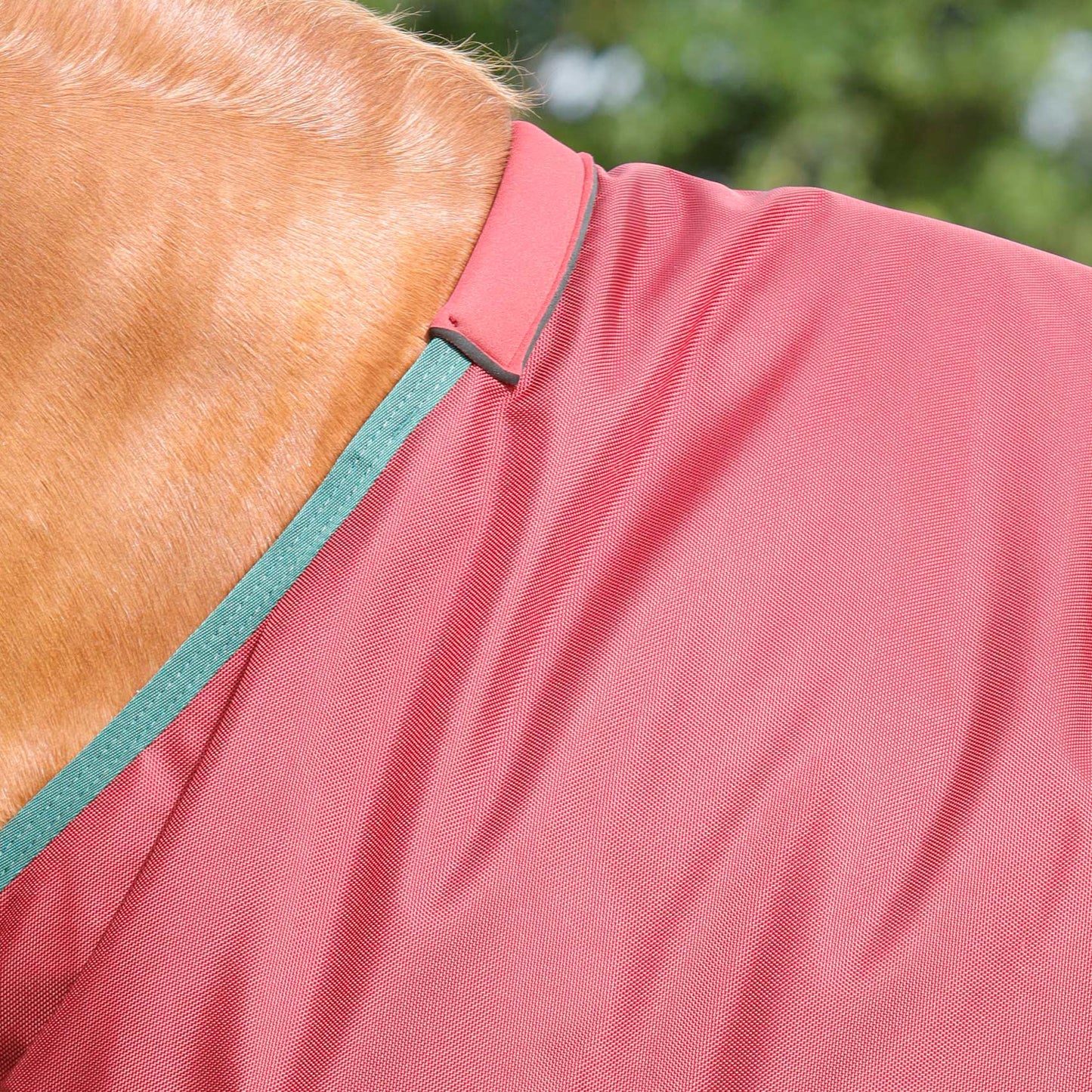 Couverture Titan Original 100g Premier Equine – Robuste, Imperméable et Respirante