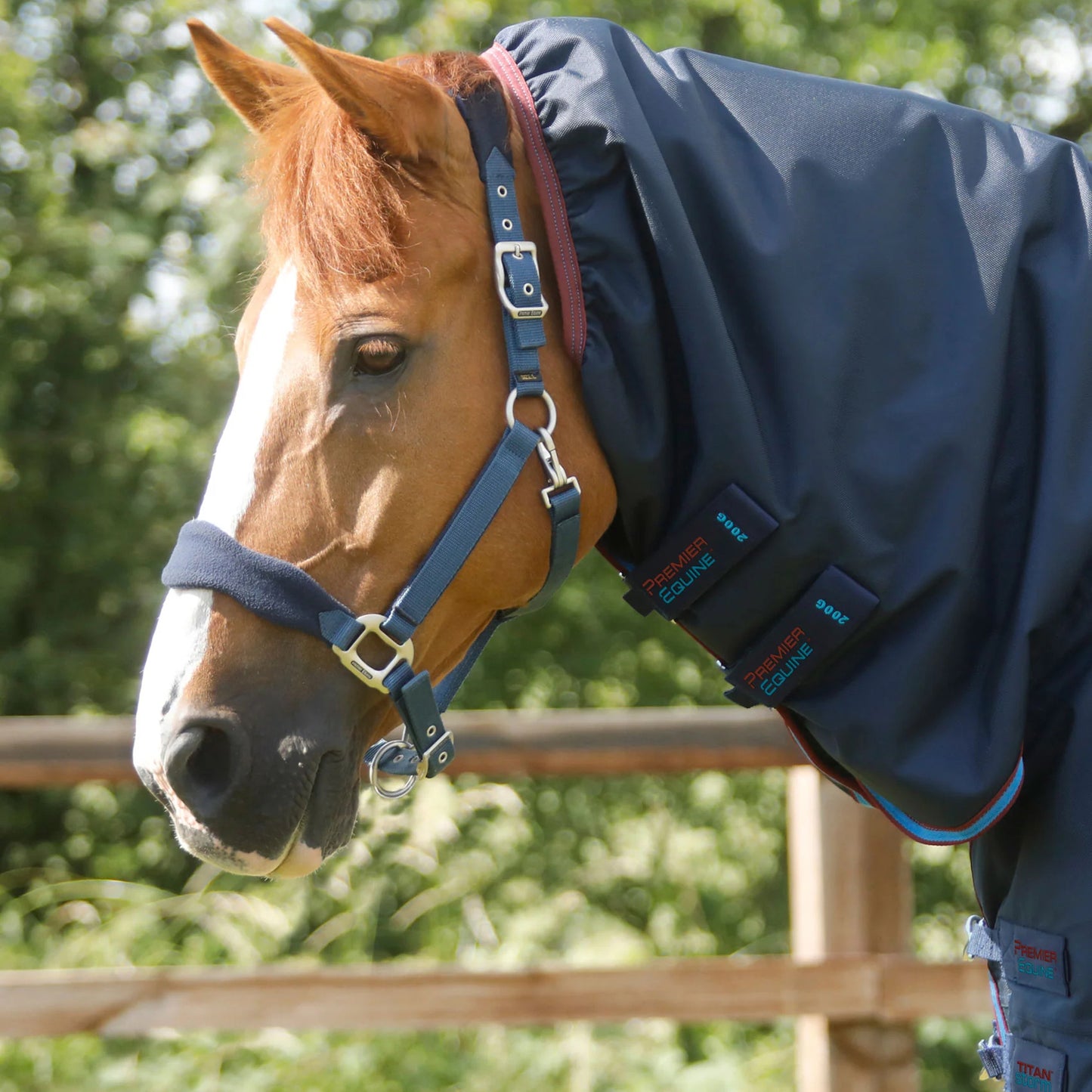 Couverture Titan Storm 200g Premier Equine avec Couvre-Cou – Protection Hivernale Cheval