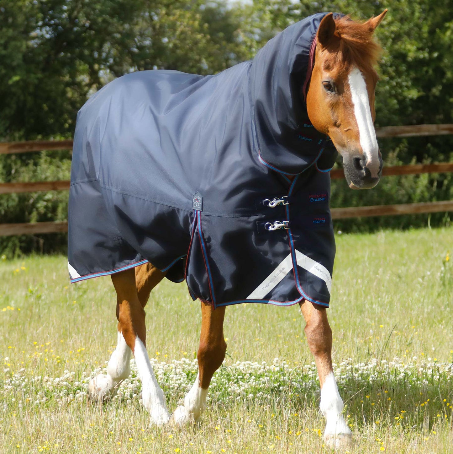 Couverture Titan Storm 200g Premier Equine avec Couvre-Cou – Protection Hivernale Cheval