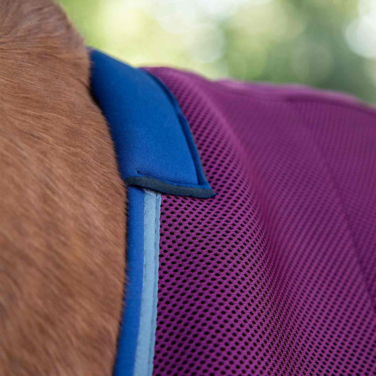 Couverture Séchante Premier Equine Airflow – Séchage Rapide et Circulation Optimale de l’Air