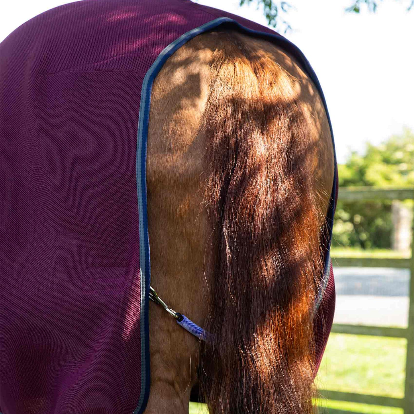 Couverture Séchante Premier Equine Airflow – Séchage Rapide et Circulation Optimale de l’Air