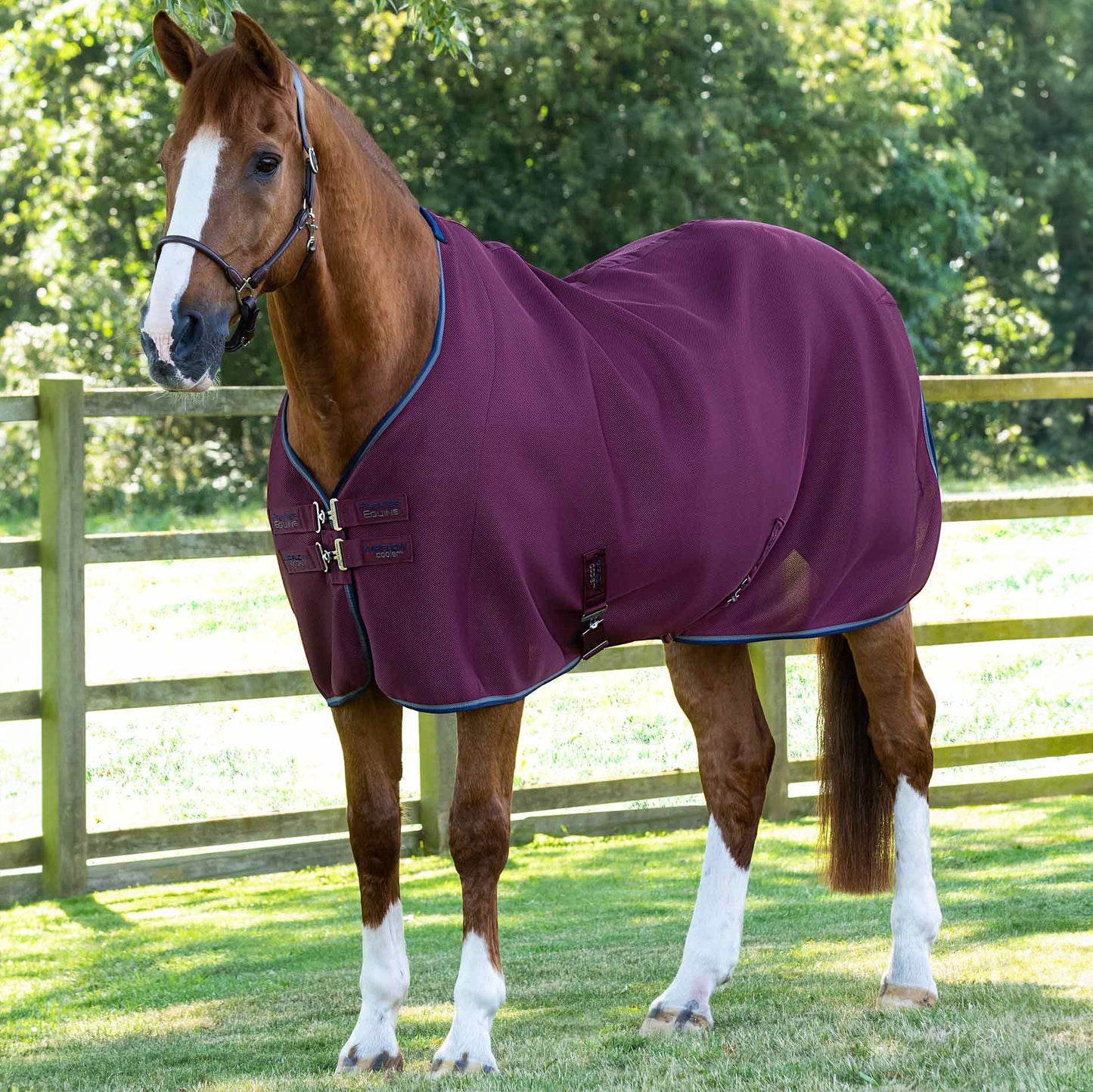 Couverture Séchante Premier Equine Airflow – Séchage Rapide et Circulation Optimale de l’Air