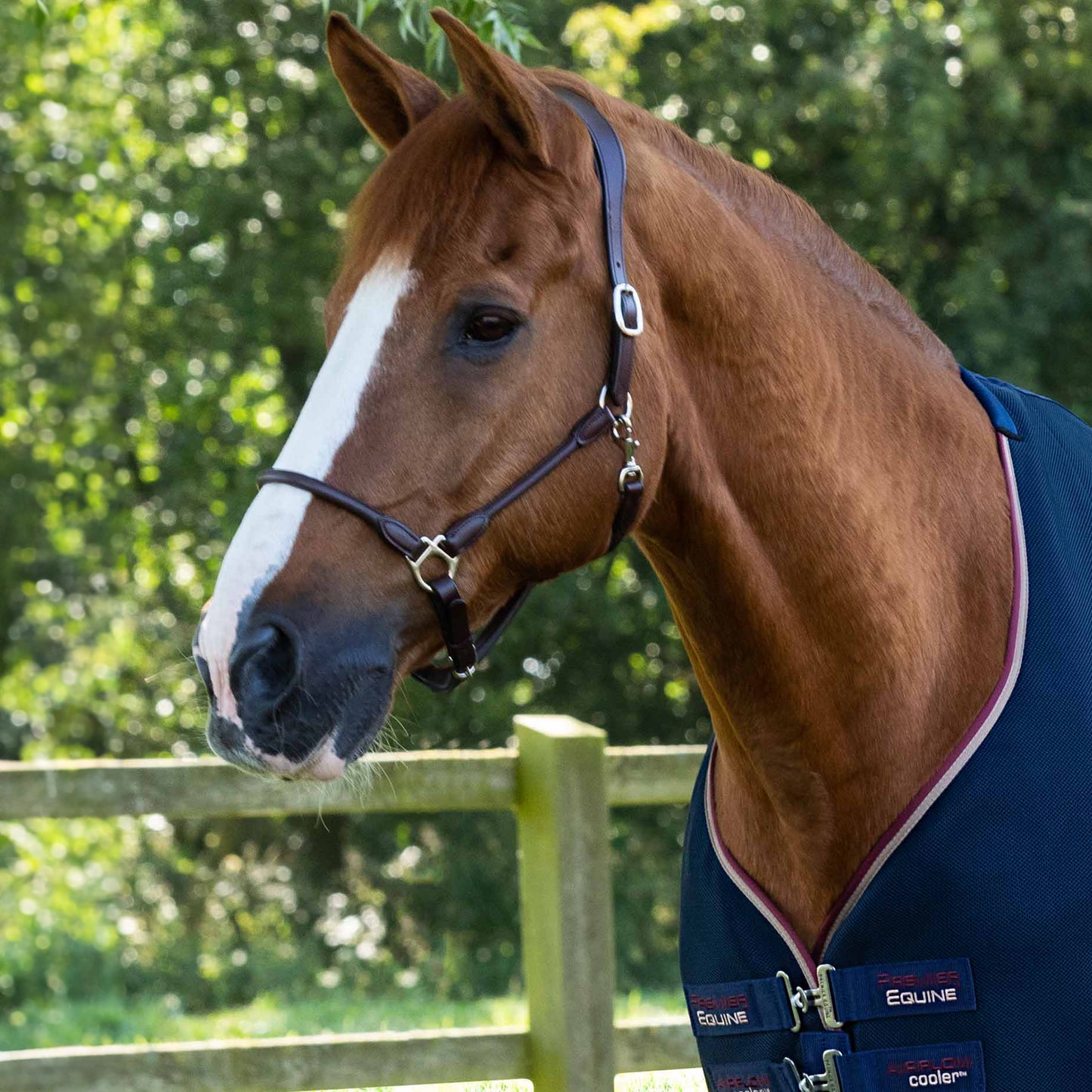 Couverture Séchante Premier Equine Airflow – Séchage Rapide et Circulation Optimale de l’Air