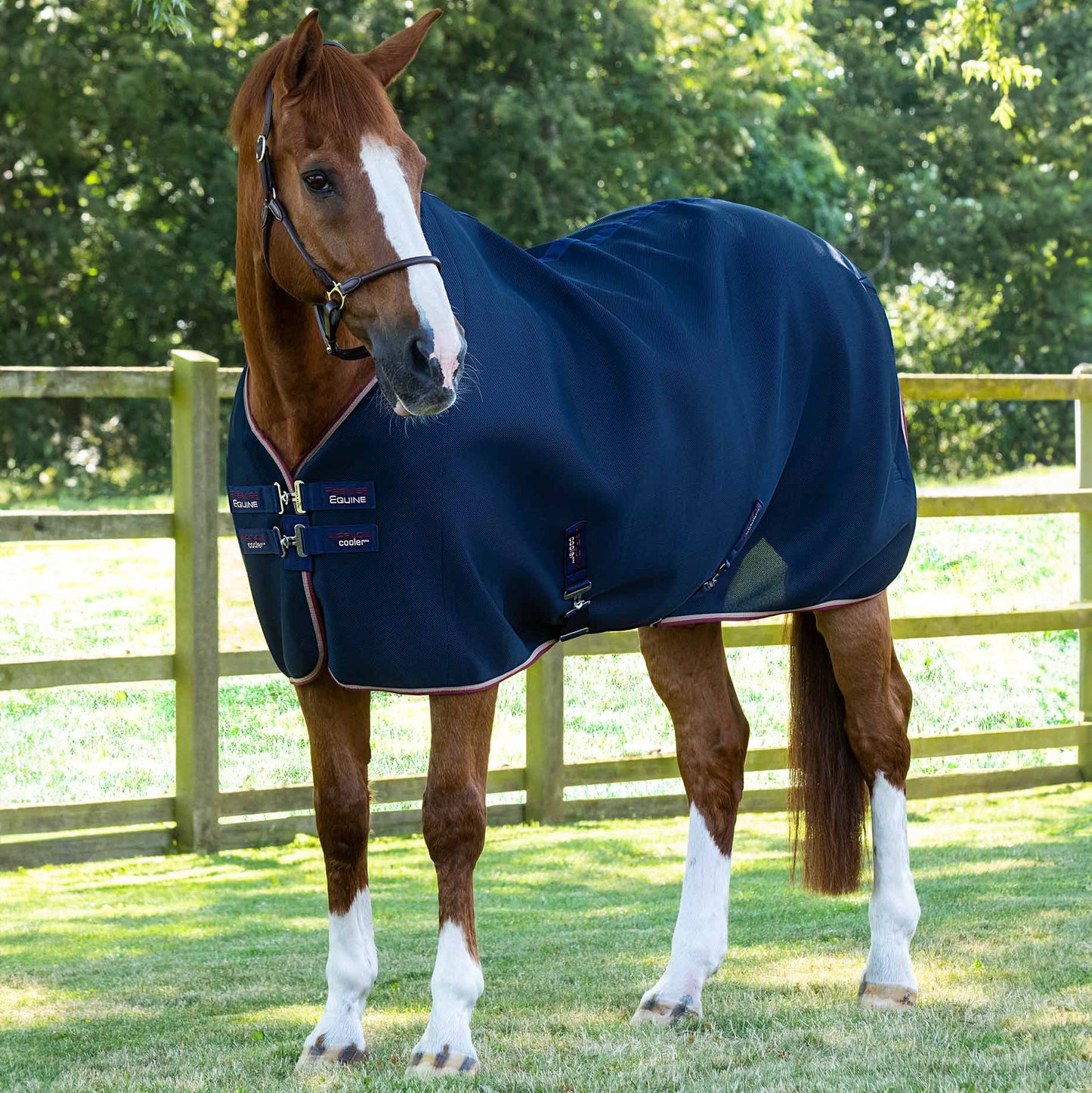 Couverture Séchante Premier Equine Airflow – Séchage Rapide et Circulation Optimale de l’Air