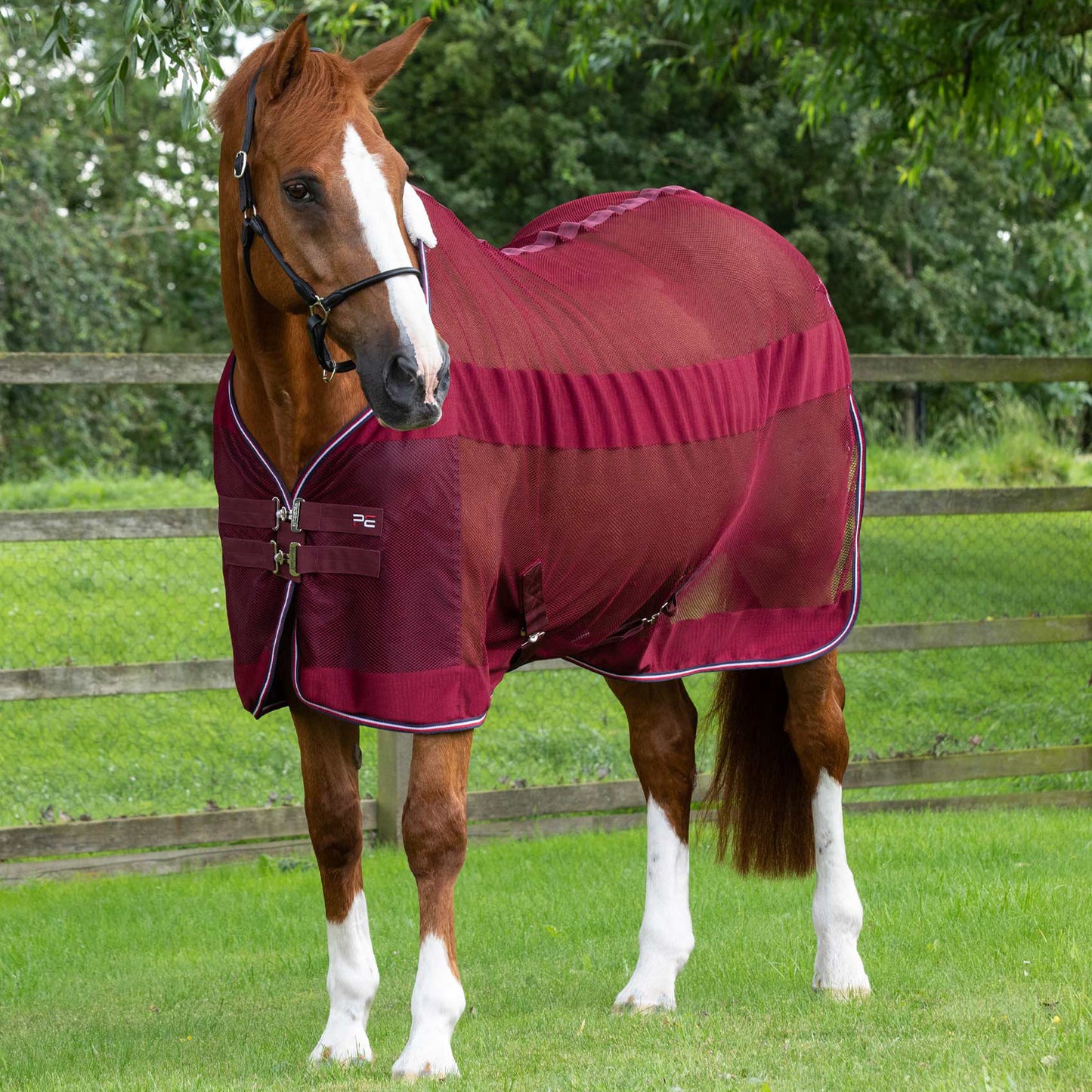 Couverture Séchante Premier Equine Arisca Scrim – Refroidissement Optimal et Confort Estival