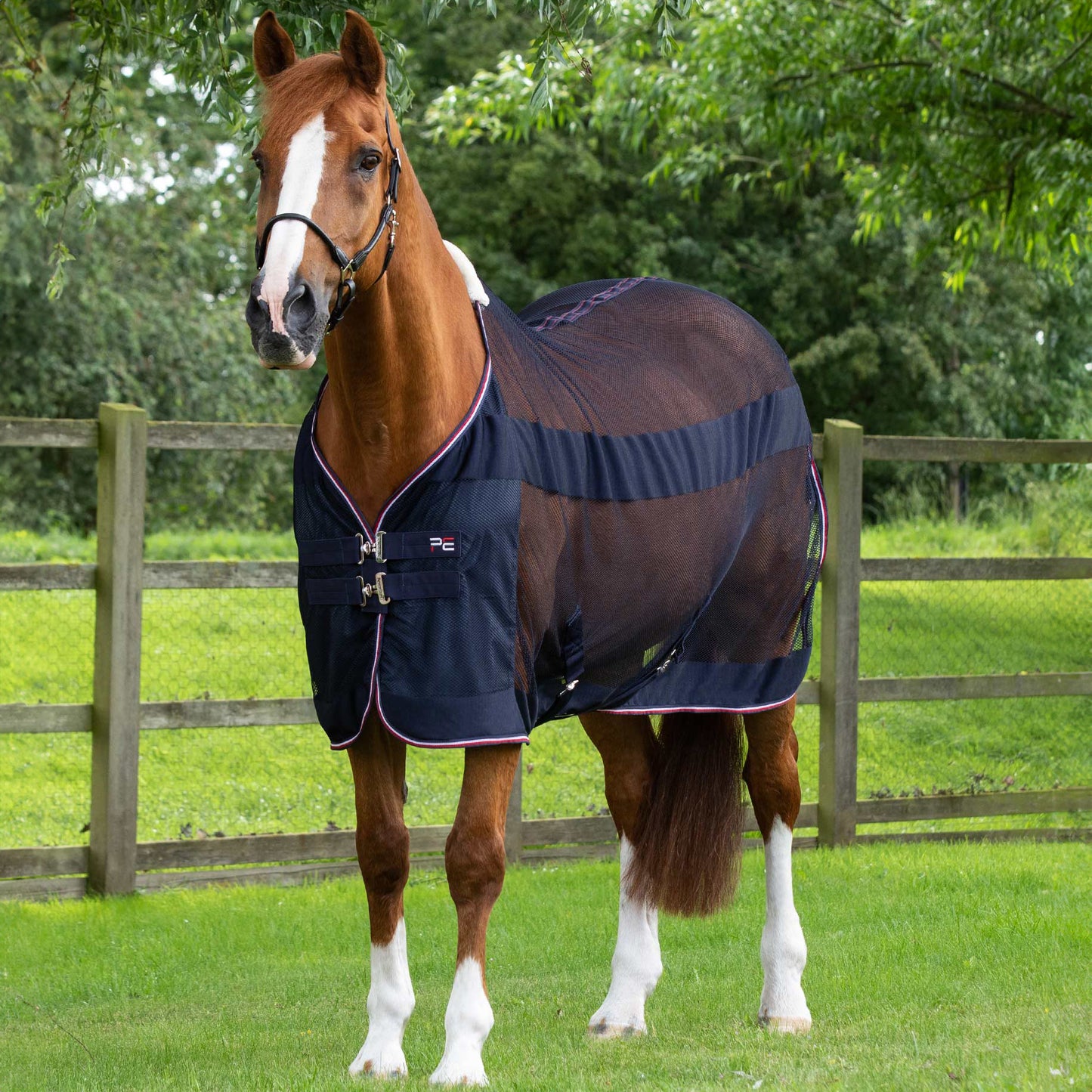 Couverture Séchante Premier Equine Arisca Scrim – Refroidissement Optimal et Confort Estival
