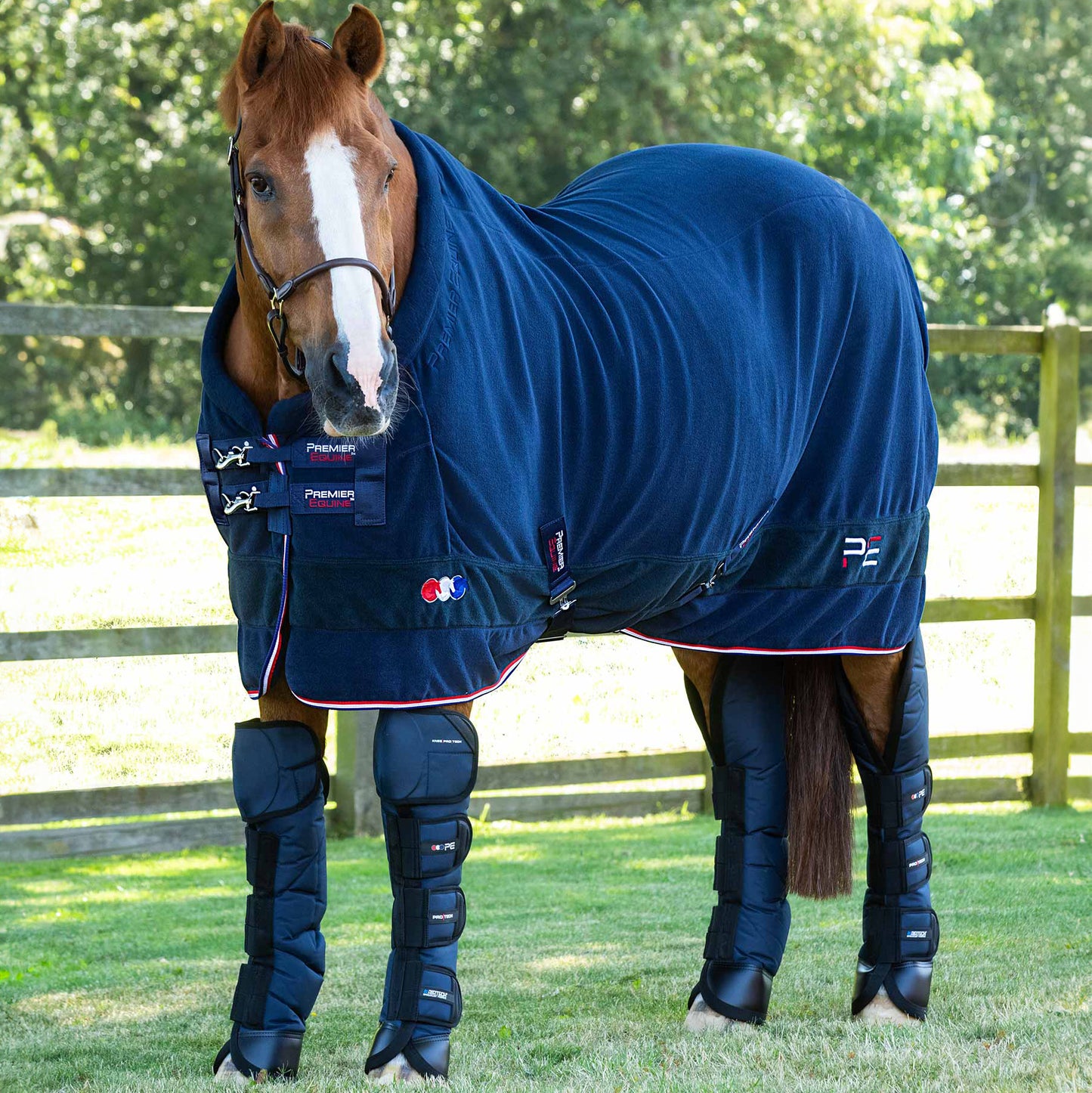 Couverture Séchante Premier Equine Buster Vecto – Polaire Bleu Marine Confortable et Ajustée pour Chevaux
