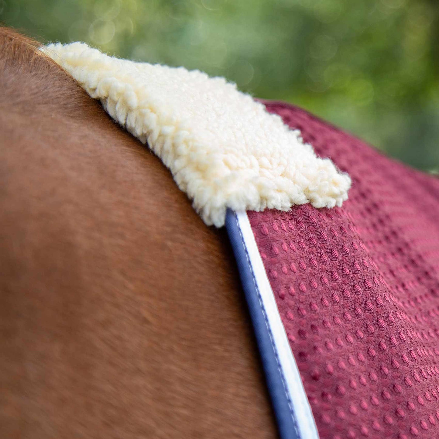 Couverture Séchante Premier Equine Buster Waffle – Refroidissement Rapide et Confort Optimal pour Chevaux