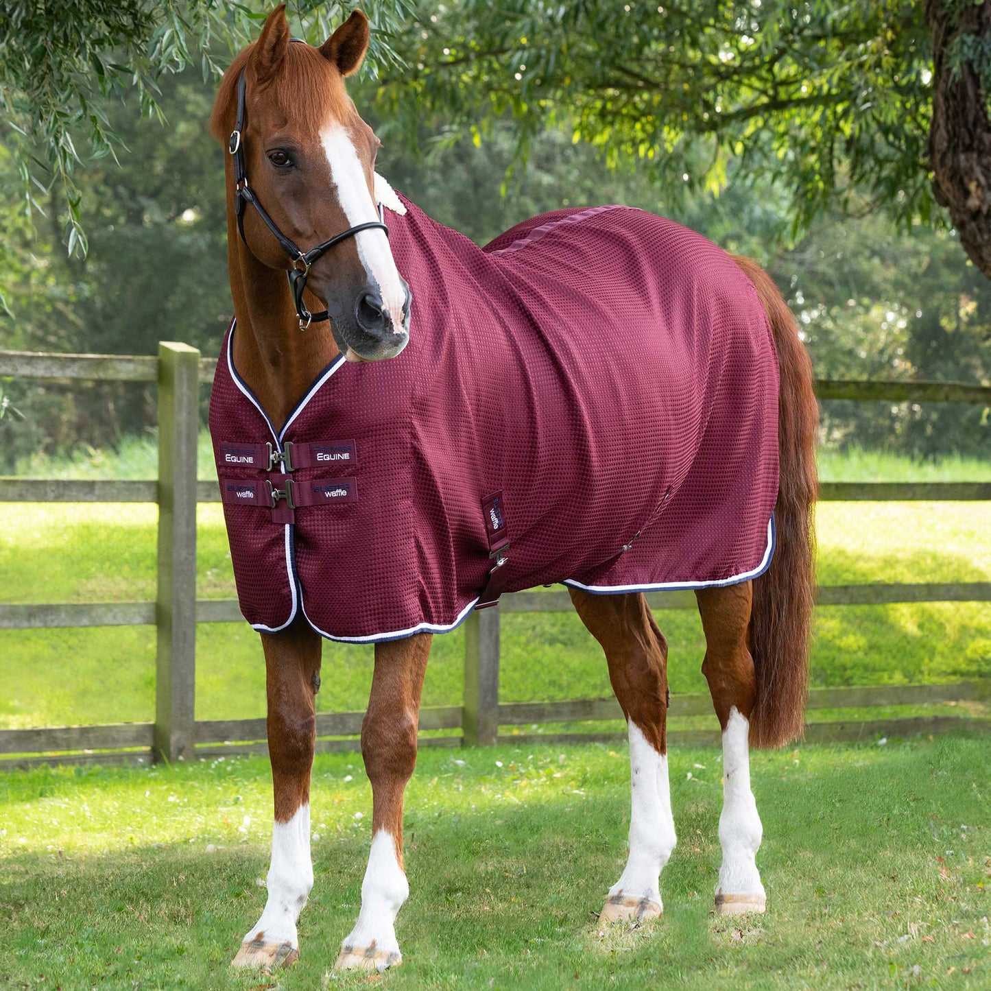 Couverture Séchante Premier Equine Buster Waffle – Refroidissement Rapide et Confort Optimal pour Chevaux