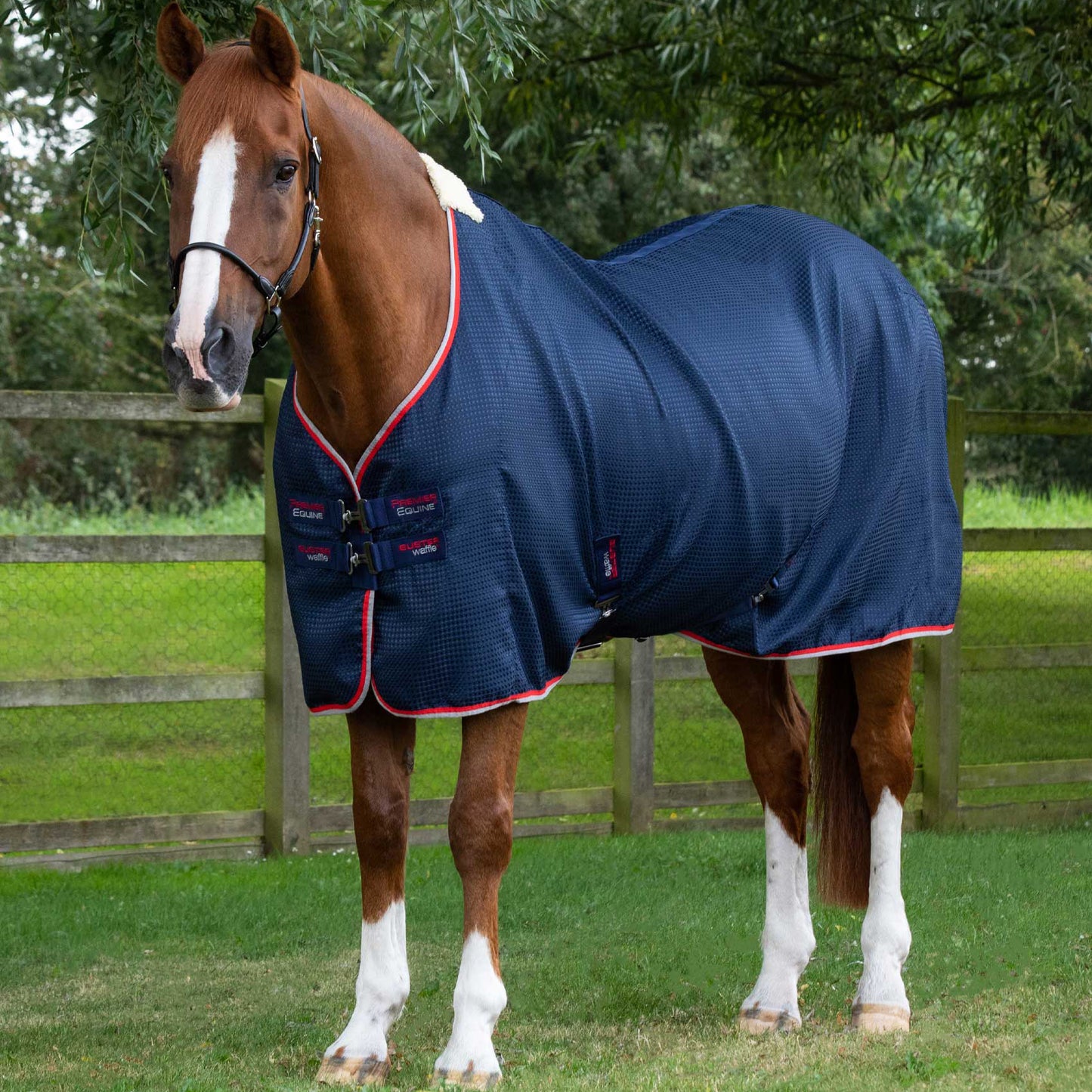 Couverture Séchante Premier Equine Buster Waffle – Refroidissement Rapide et Confort Optimal pour Chevaux