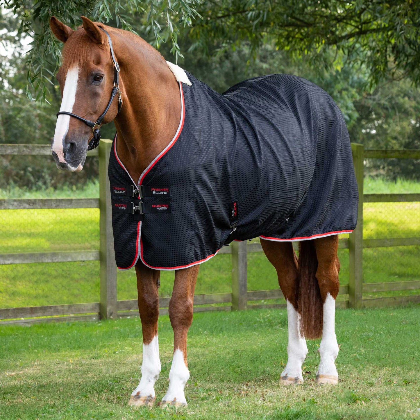 Couverture Séchante Premier Equine Buster Waffle – Refroidissement Rapide et Confort Optimal pour Chevaux