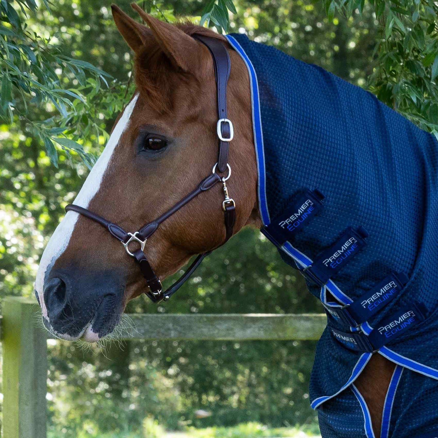 Couverture Séchante Combo Premier Equine Buster Waffle – Confort et Refroidissement Optimaux avec Couvre-Cou Intégré