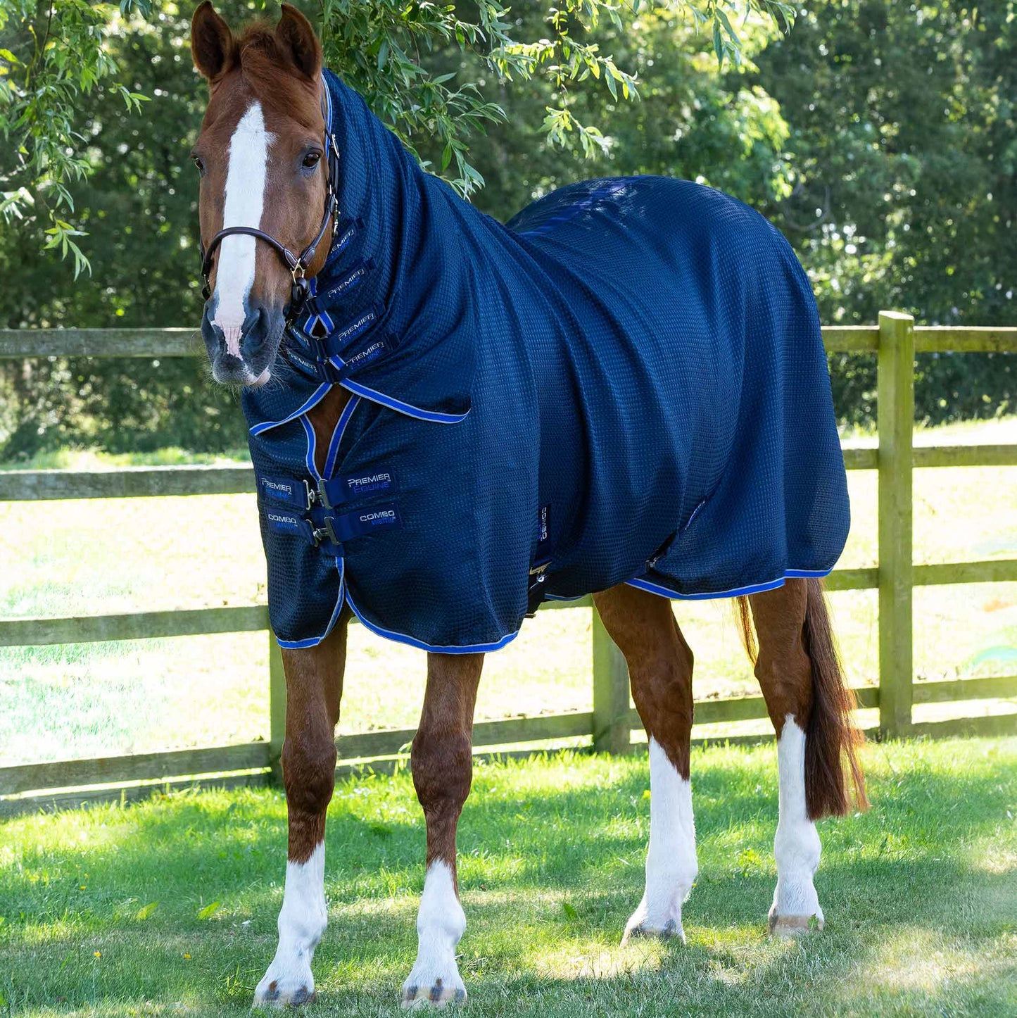 Couverture Séchante Combo Premier Equine Buster Waffle – Confort et Refroidissement Optimaux avec Couvre-Cou Intégré