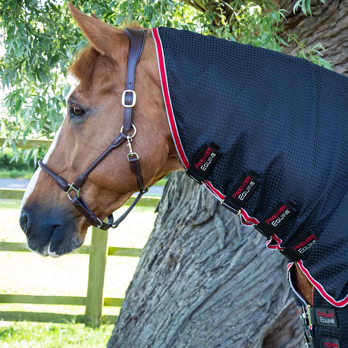 Couverture Séchante Combo Premier Equine Buster Waffle – Confort et Refroidissement Optimaux avec Couvre-Cou Intégré