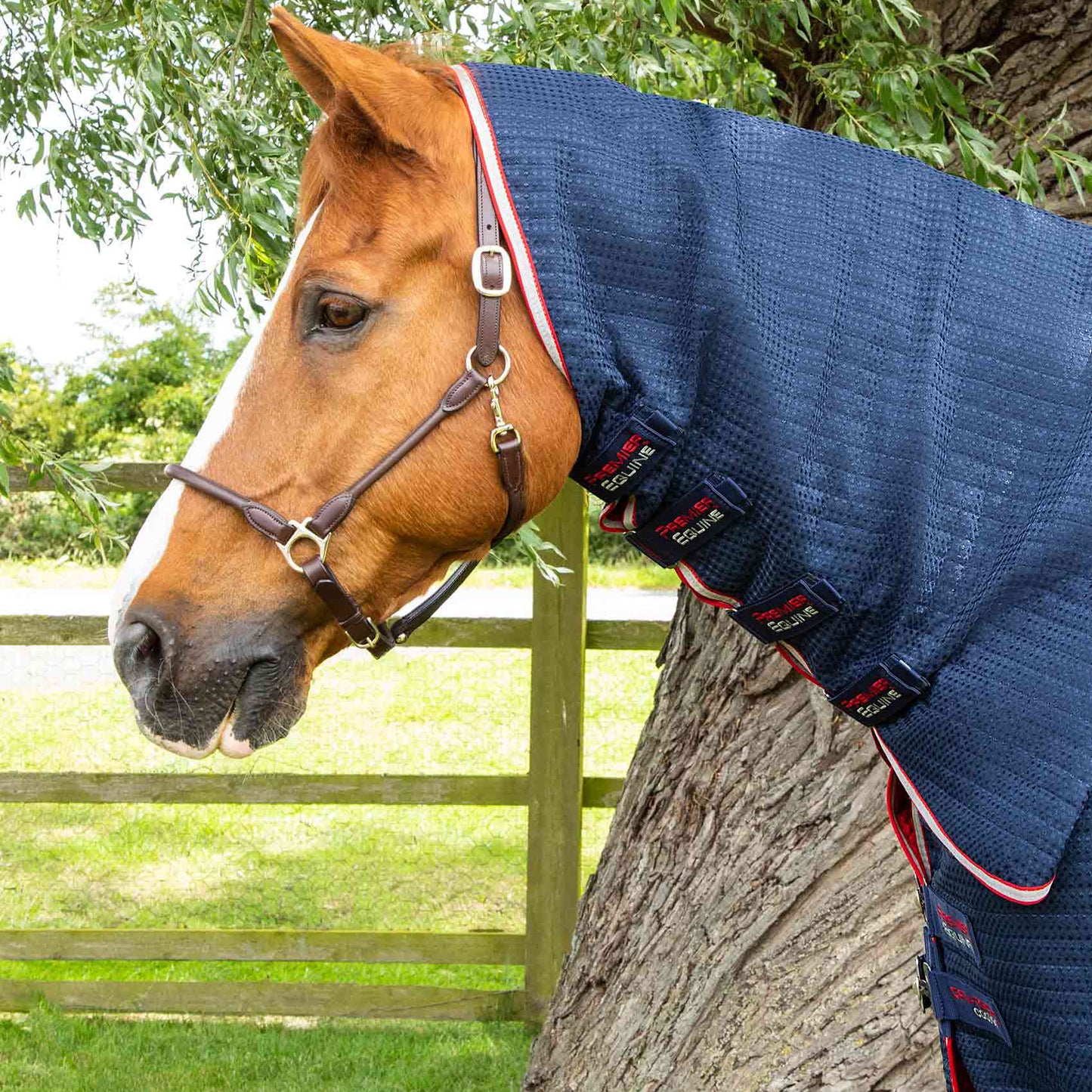 Couverture Séchante Premier Equine Combo Dry Tech – Refroidissement et Séchage Performants