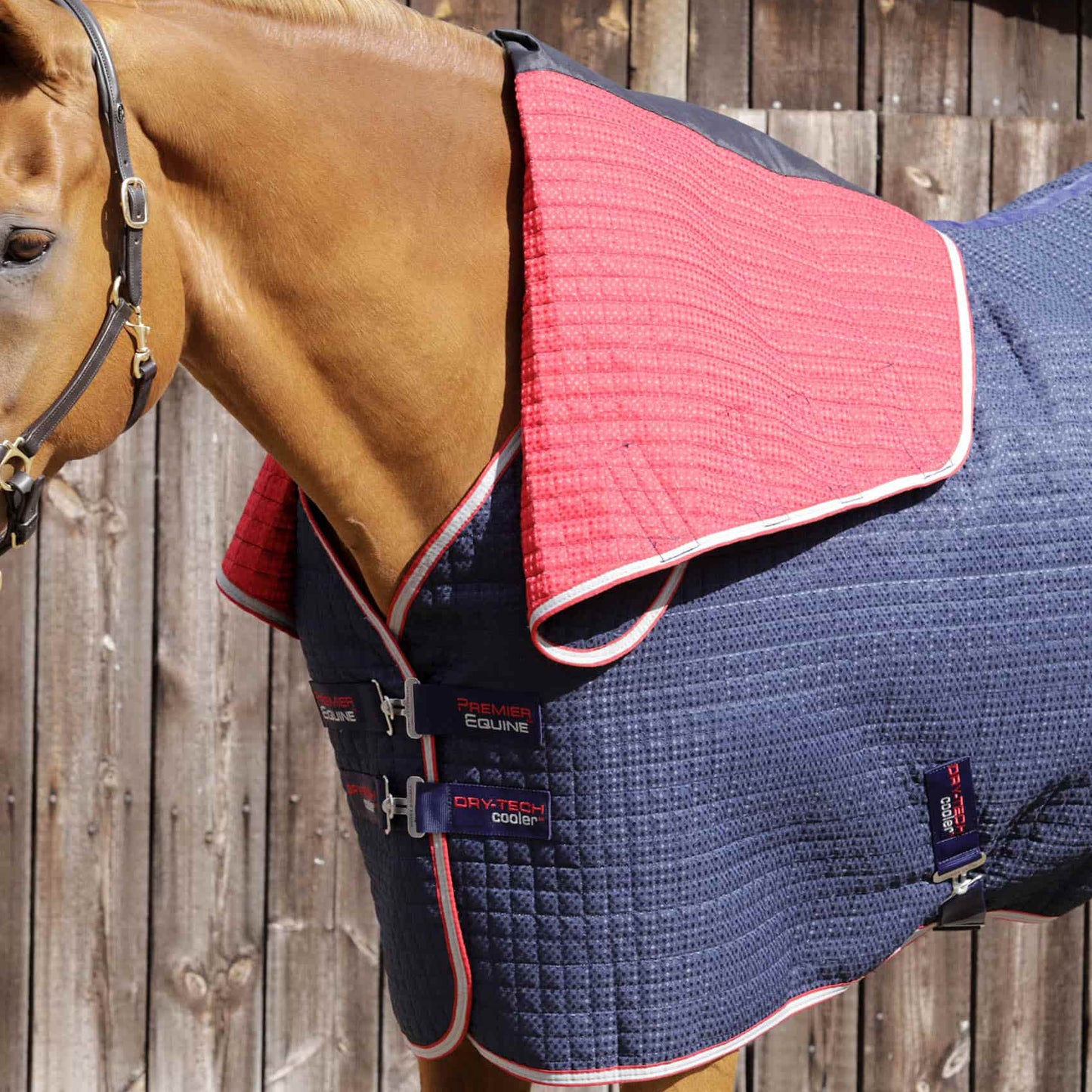 Couverture Séchante Premier Equine Combo Dry Tech – Refroidissement et Séchage Performants