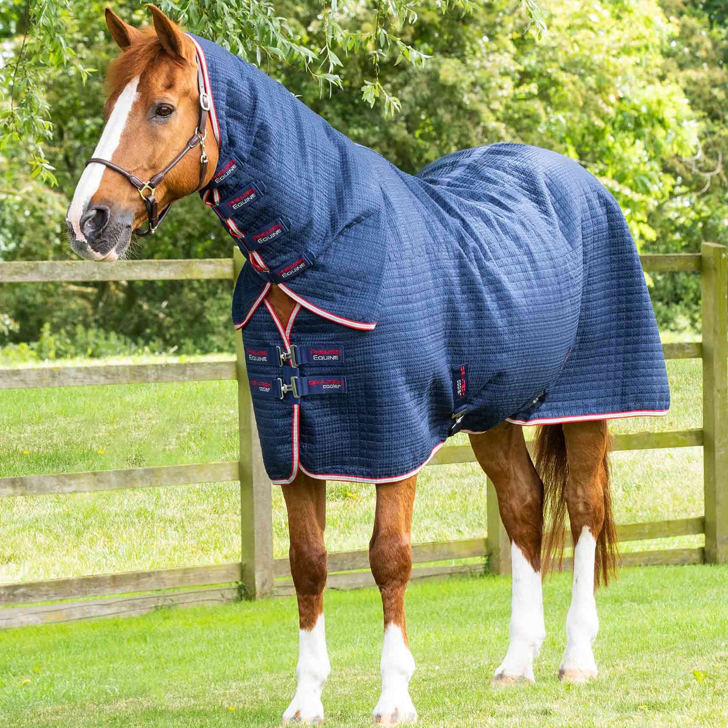 Couverture Séchante Premier Equine Combo Dry Tech – Refroidissement et Séchage Performants