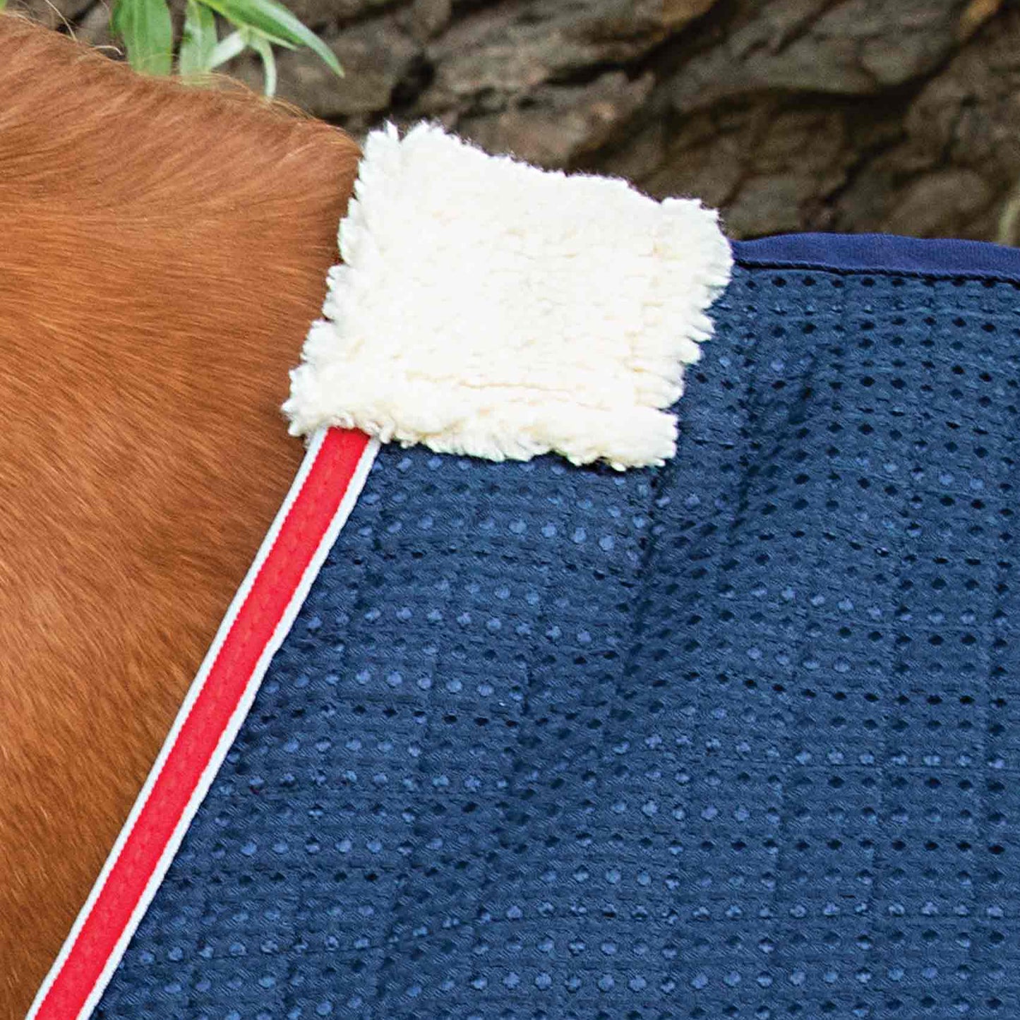 Couverture Séchante Premier Equine Dry Tech – Technologie Avancée pour un Séchage Rapide et Confort Optimal