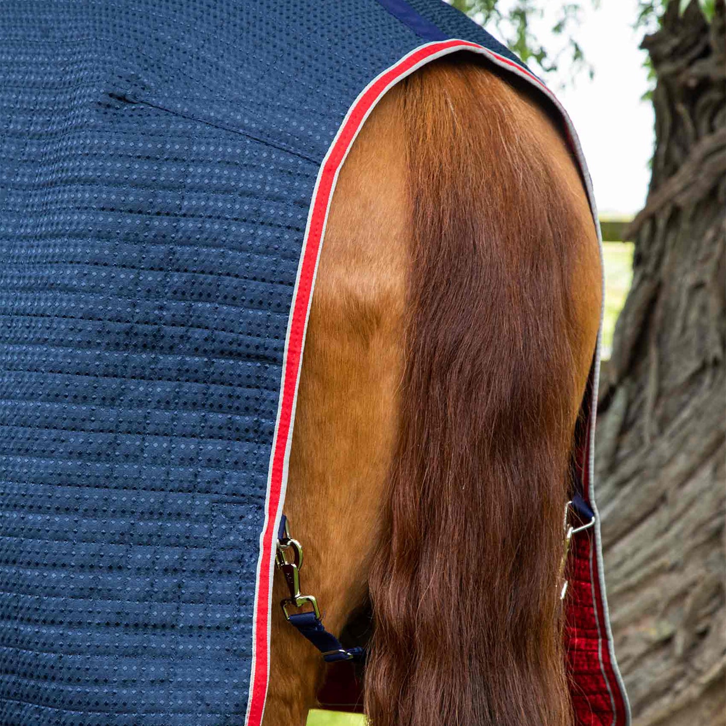 Couverture Séchante Premier Equine Dry Tech – Technologie Avancée pour un Séchage Rapide et Confort Optimal