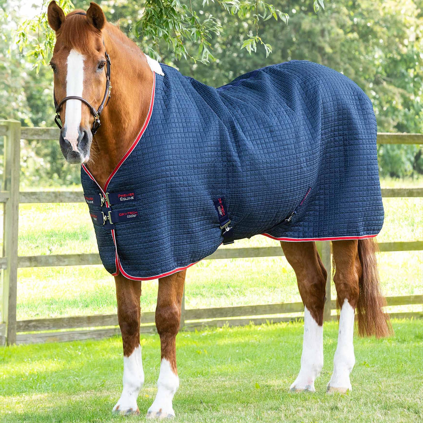 Couverture Séchante Premier Equine Dry Tech – Technologie Avancée pour un Séchage Rapide et Confort Optimal