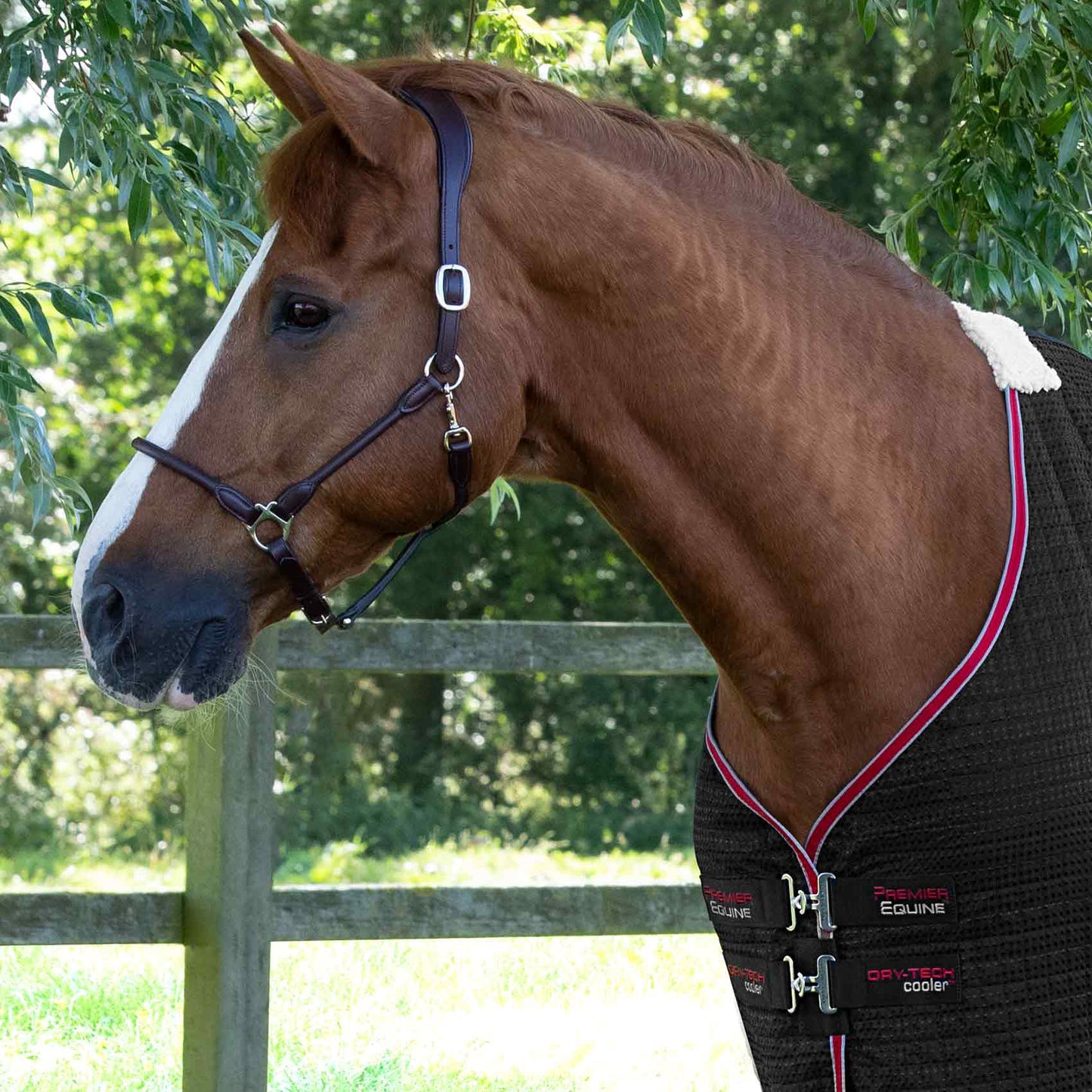 Couverture Séchante Premier Equine Dry Tech – Technologie Avancée pour un Séchage Rapide et Confort Optimal