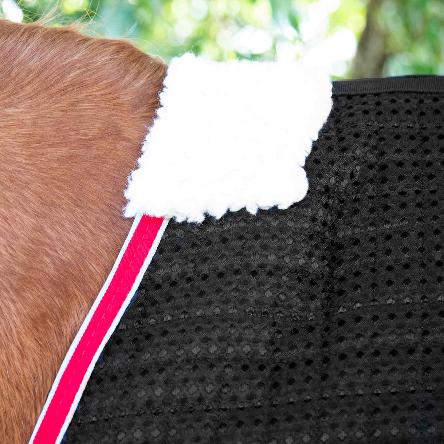 Couverture Séchante Premier Equine Dry Tech – Technologie Avancée pour un Séchage Rapide et Confort Optimal