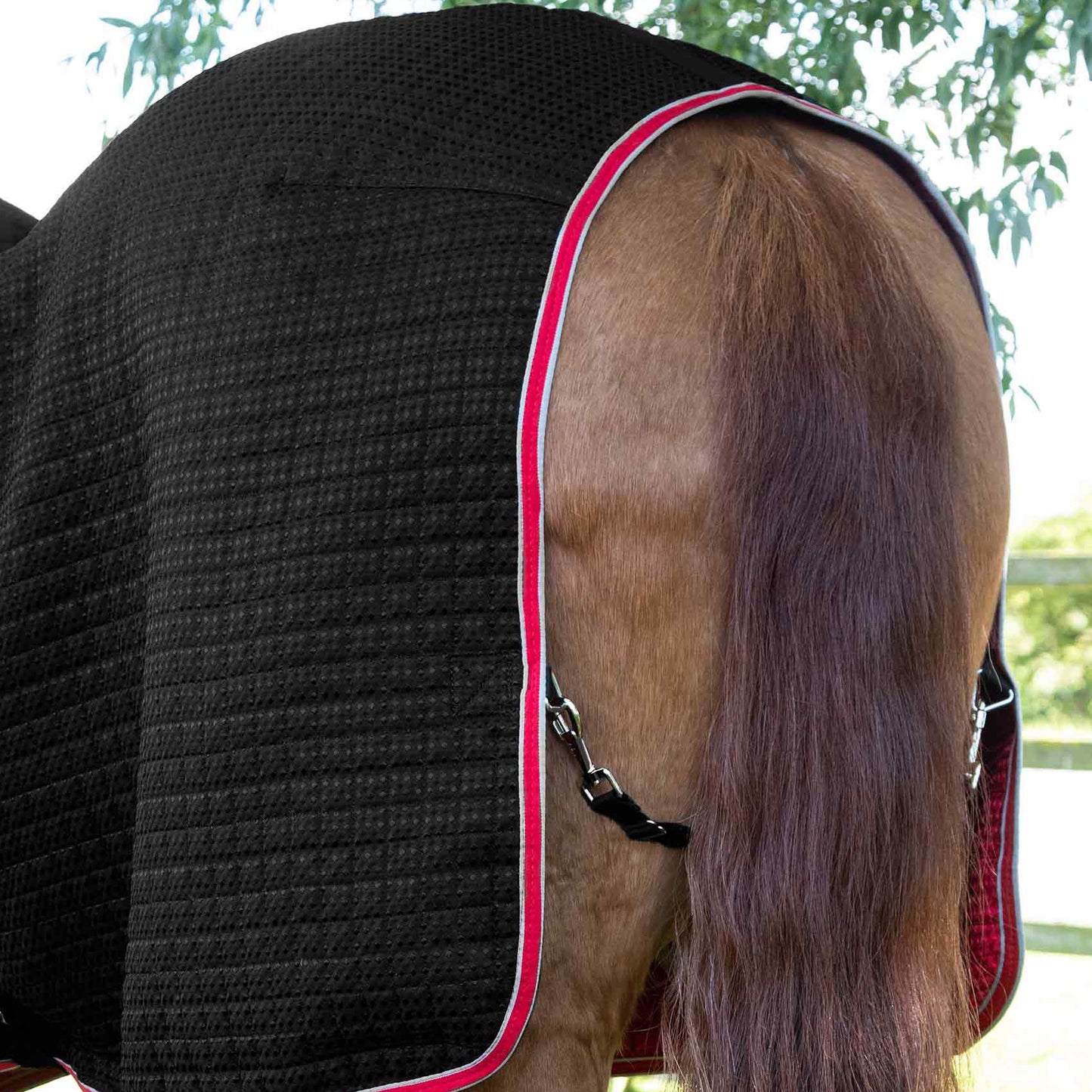 Couverture Séchante Premier Equine Dry Tech – Technologie Avancée pour un Séchage Rapide et Confort Optimal