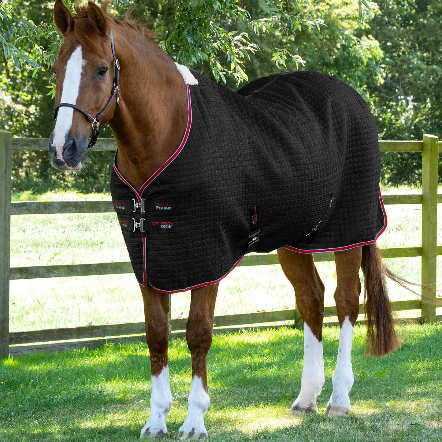 Couverture Séchante Premier Equine Dry Tech – Technologie Avancée pour un Séchage Rapide et Confort Optimal
