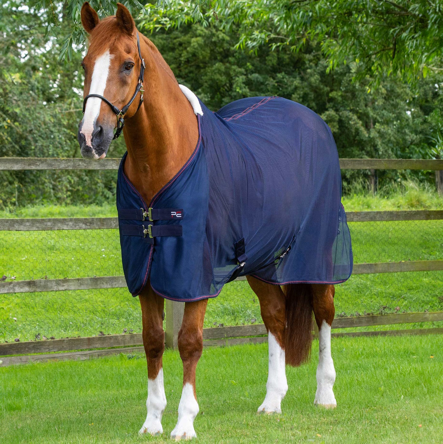 Couverture Séchante Premier Equine Mesh Ventoso – Refroidissement Efficace et Confort Estival